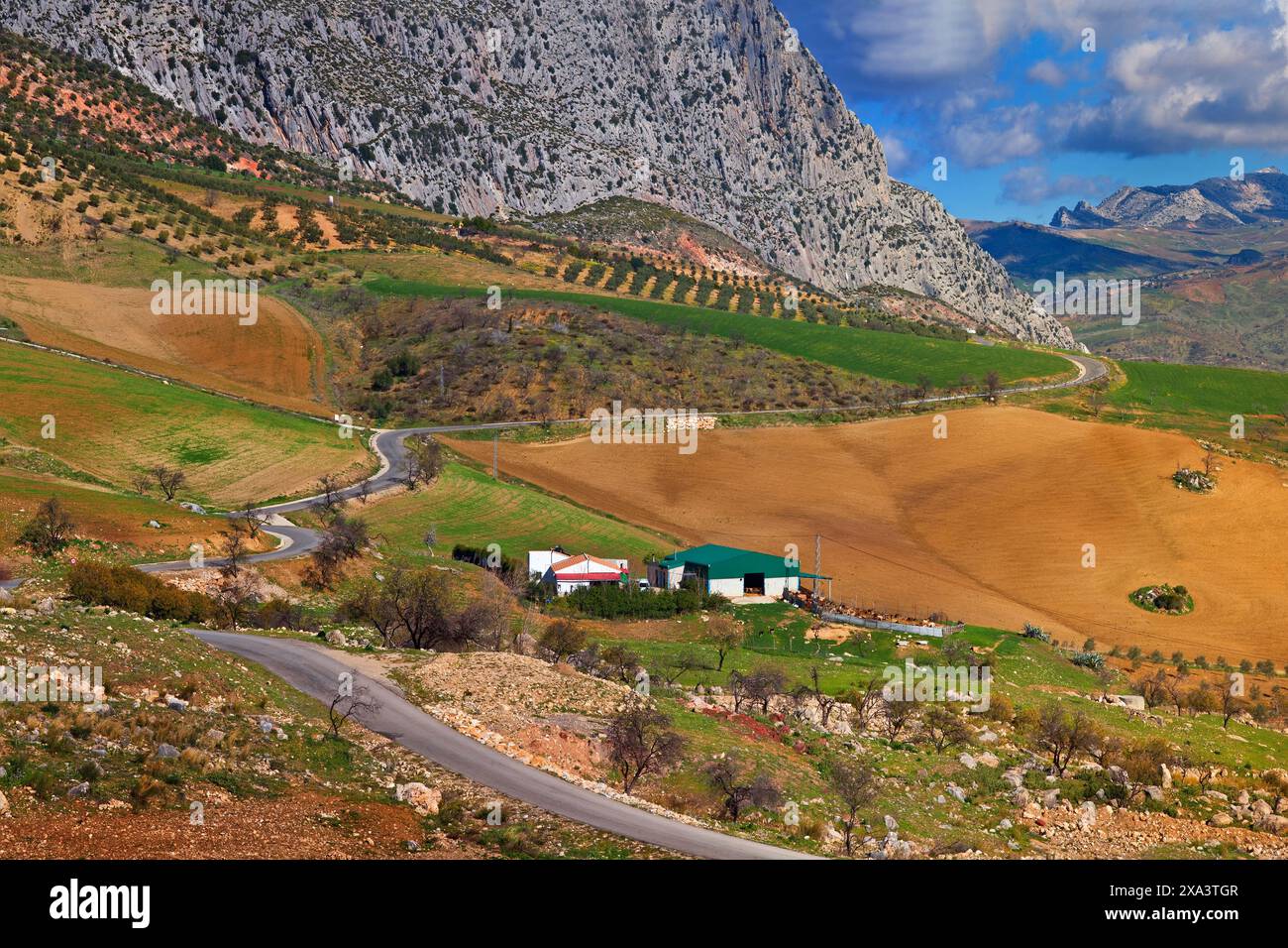 Terrain agricole au bord d'El Torcal, une région calcaire près d'Antequera, province de Malaga, Andalousie, Espagne Banque D'Images