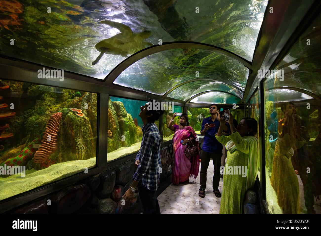 4 juin 2024, Cox's Bazar, Chittagong, Bangladesh : les visiteurs regardent différents types de poissons dans un aquarium au Radiant Fish World à Cox's Bazar, Bangladesh. Radiant Fish World Bangladesh a apporté l'occasion de visiter le premier aquarium de poissons standard international. Radiant Fish World est un aquarium de poissons et un hall d'exposition de poissons situé à Cox's Bazar. Le complexe d'aquarium compte environ 100 types de poissons d'océan et d'eau douce. (Crédit image : © Joy Saha/ZUMA Press Wire) USAGE ÉDITORIAL SEULEMENT! Non destiné à UN USAGE commercial ! Banque D'Images