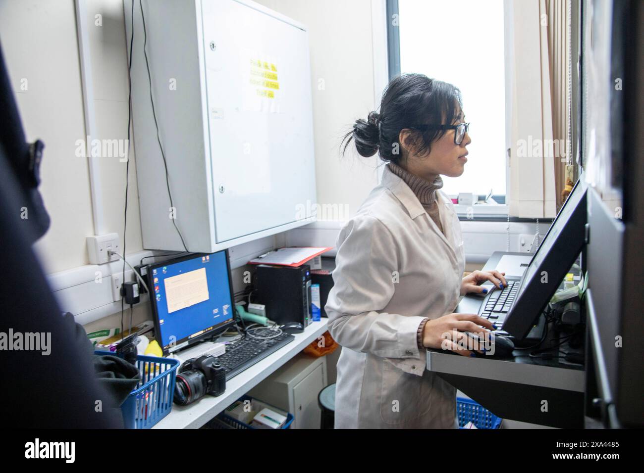 Scientifique travaillant à l'ordinateur dans le laboratoire d'un cabinet médical, Royaume-Uni Banque D'Images