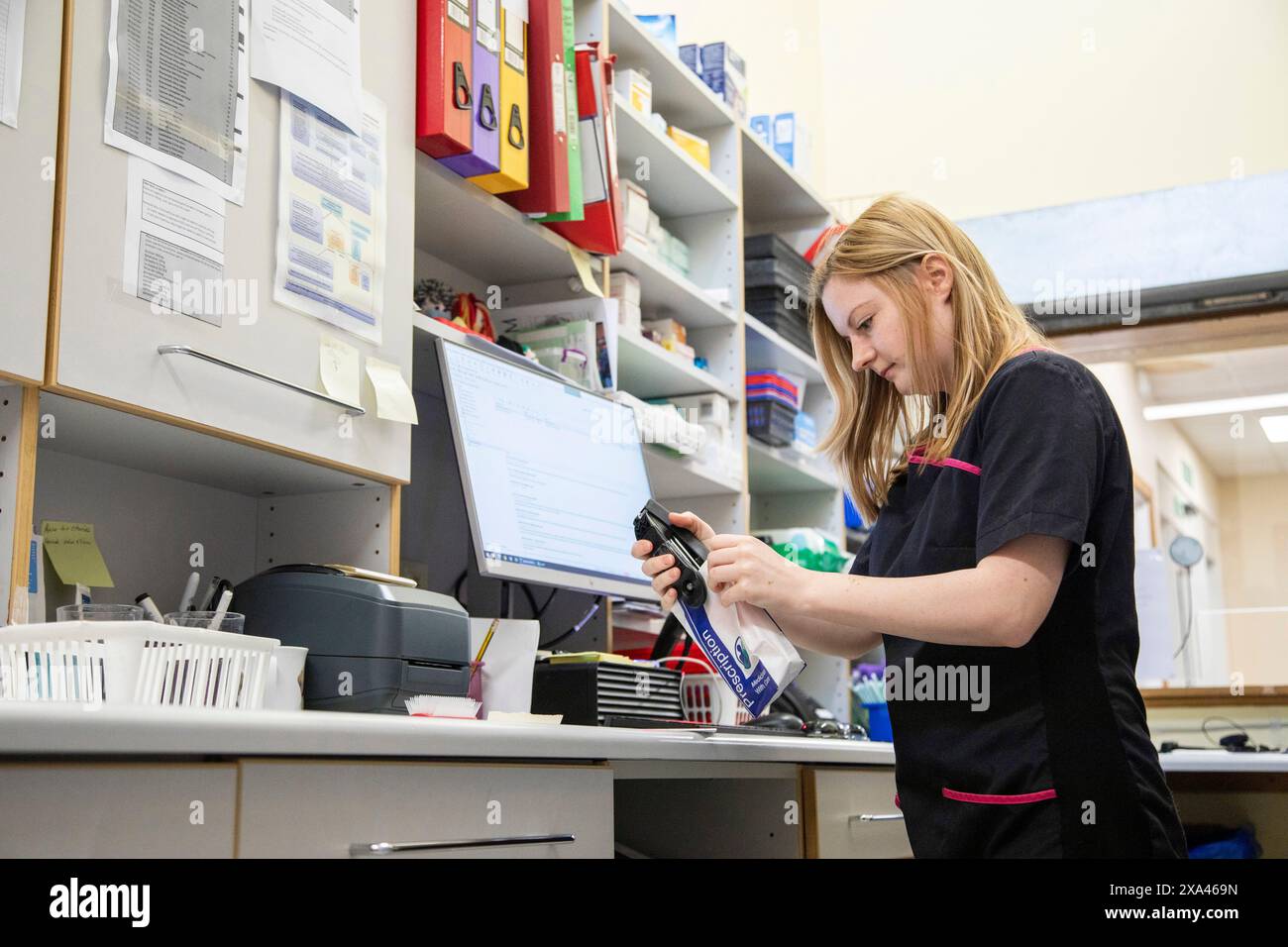 Technicien vétérinaire scannant un article au poste de travail de la clinique Banque D'Images