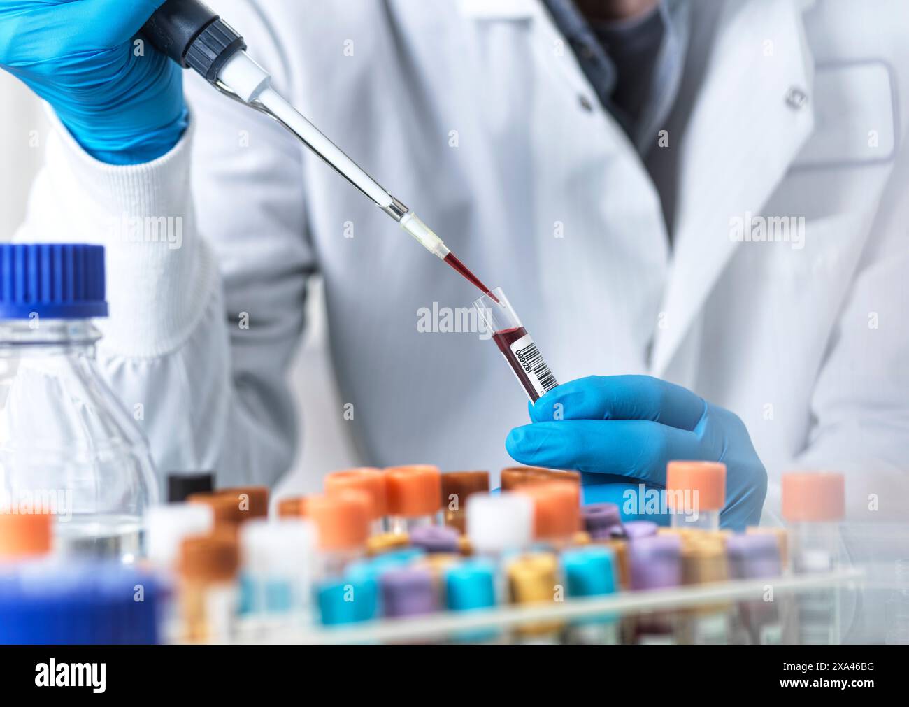 Scientifique pipettant des échantillons dans un tube à essai dans un laboratoire. Banque D'Images