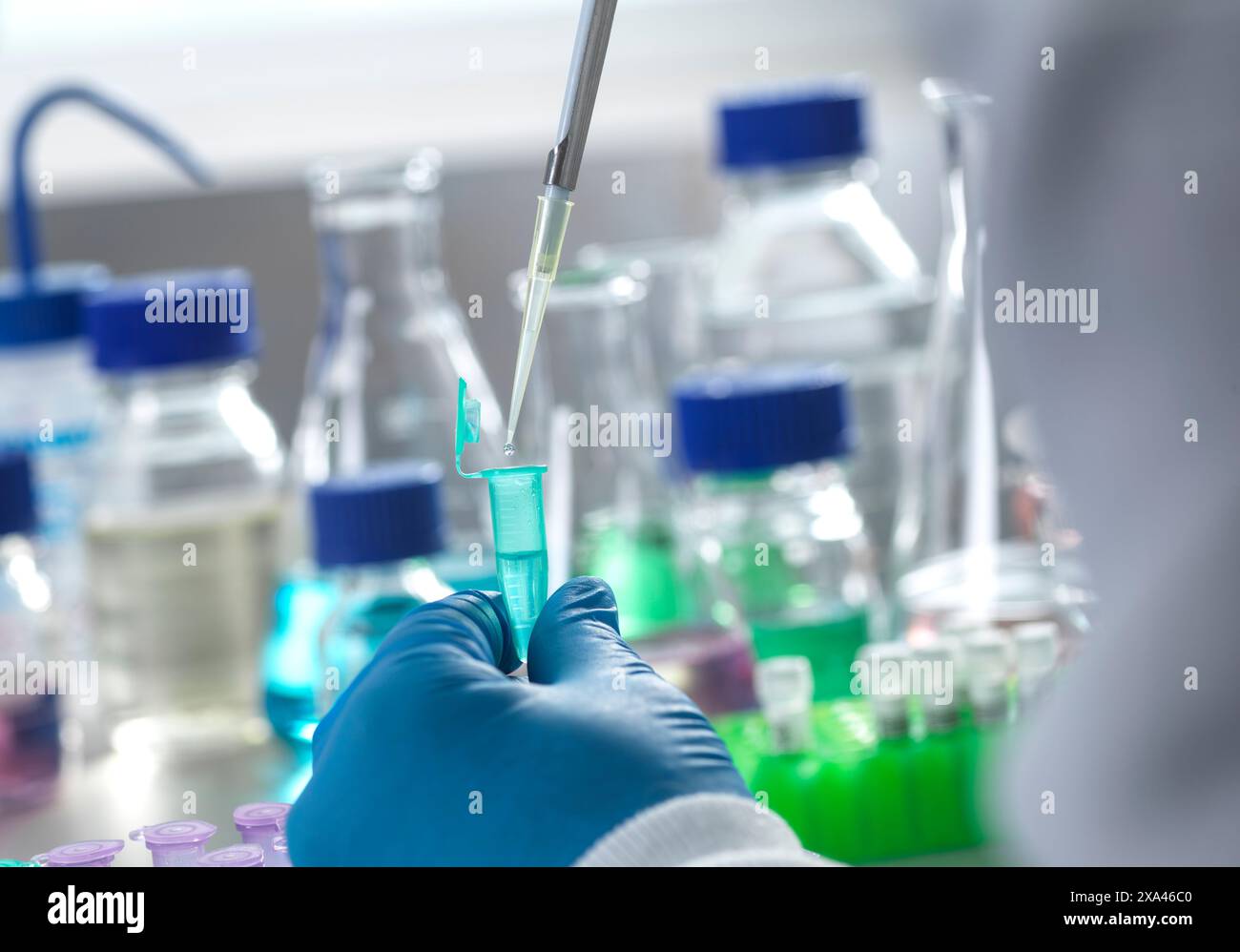 Scientifique pipettant un liquide dans un tube à essai dans un laboratoire. Banque D'Images