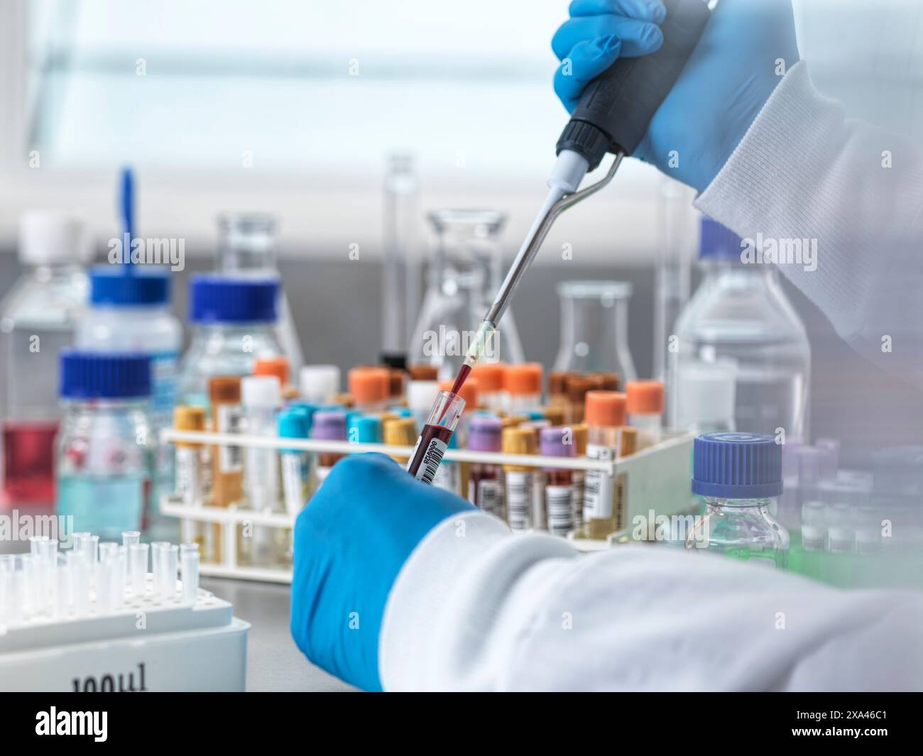 Scientifique pipettant un liquide dans un laboratoire. Banque D'Images