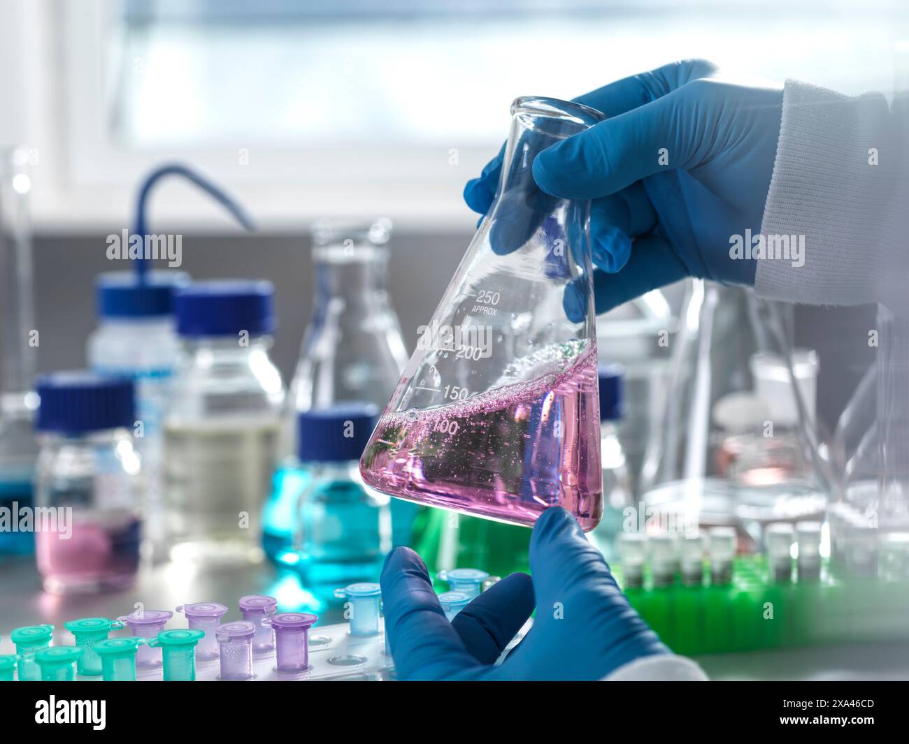 Scientifique tenant un flacon dans un laboratoire Banque D'Images