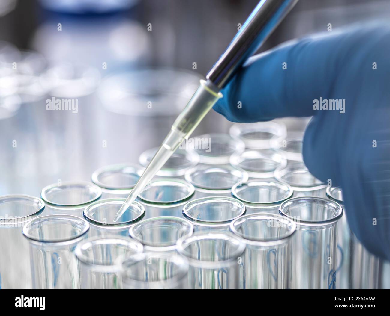 Biochimie, scientifique pipettant un échantillon dans un tube à essai pendant une expérience en laboratoire. Banque D'Images
