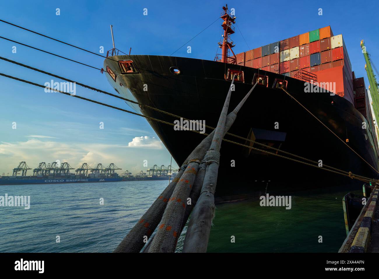 Un cargo chargé de conteneurs colorés est amarré à un quai commercial avec des grues en arrière-plan sous un ciel bleu. Banque D'Images