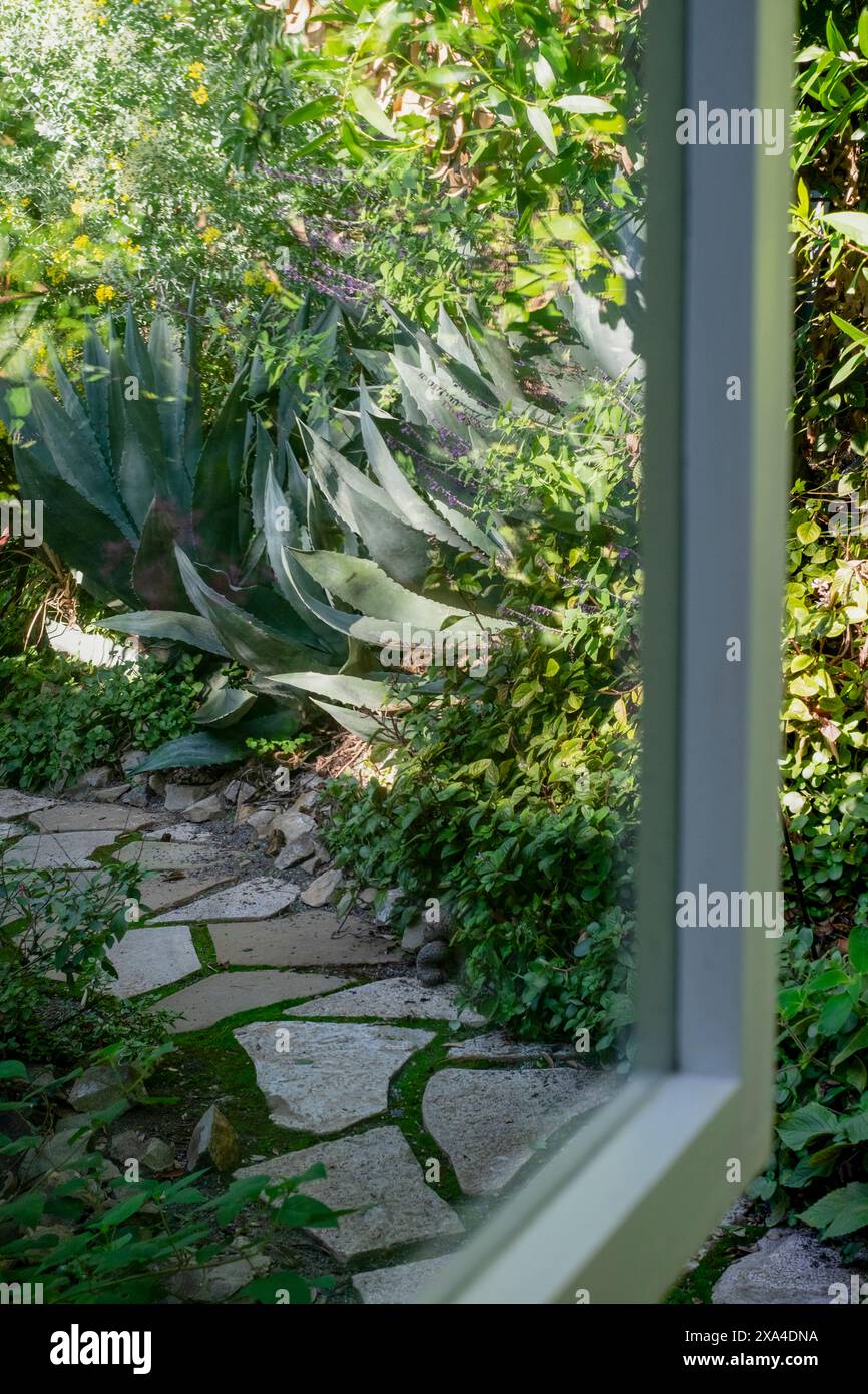 Une vue depuis une fenêtre donnant sur un chemin de jardin avec de grandes plantes d'agave et une végétation luxuriante. Banque D'Images
