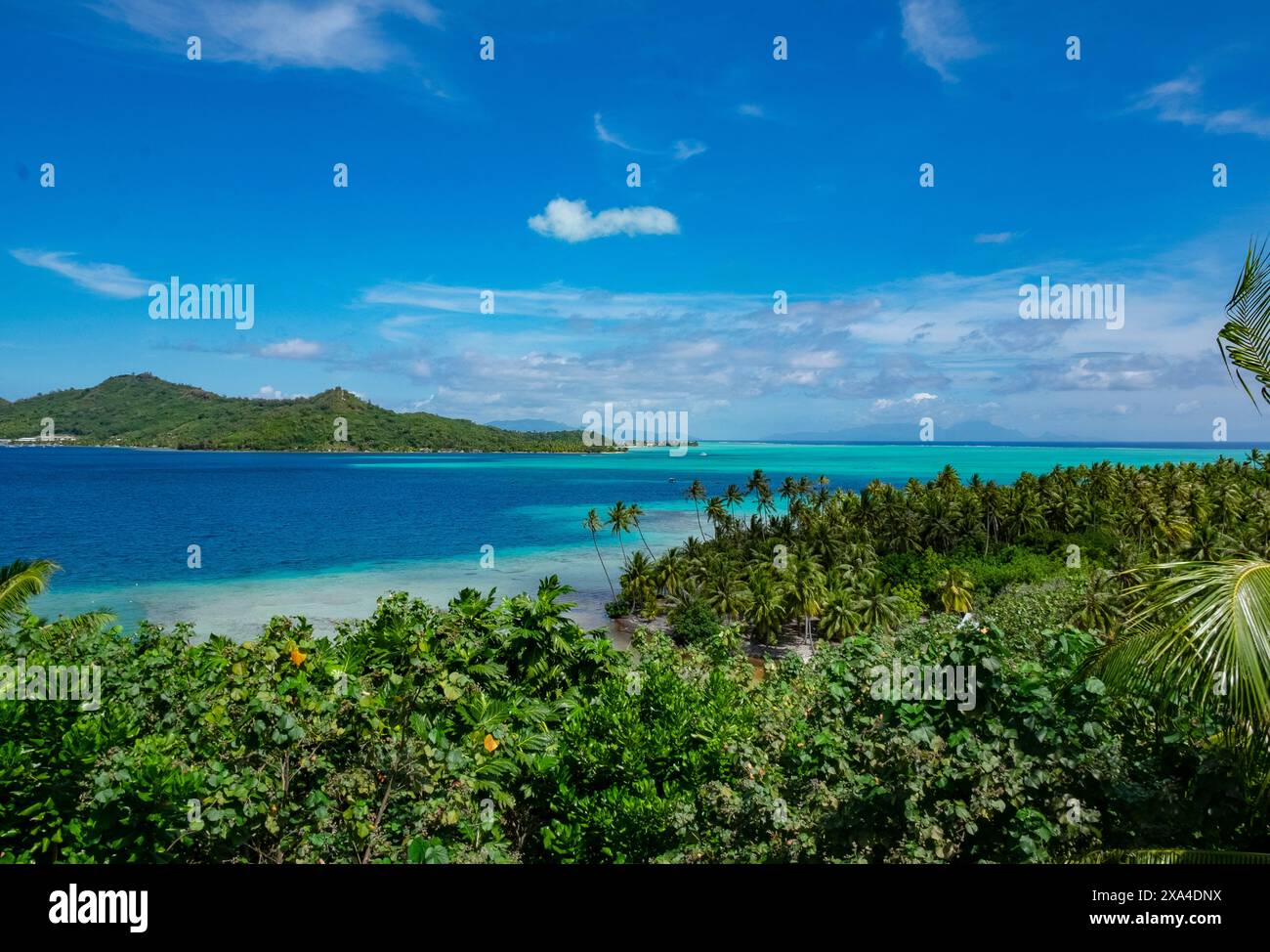 Une vue imprenable sur une plage tropicale avec une végétation luxuriante menant à une mer bleue claire et un ciel moucheté de nuages au-dessus. Une île se profile au loin, complétant le paysage serein. Banque D'Images