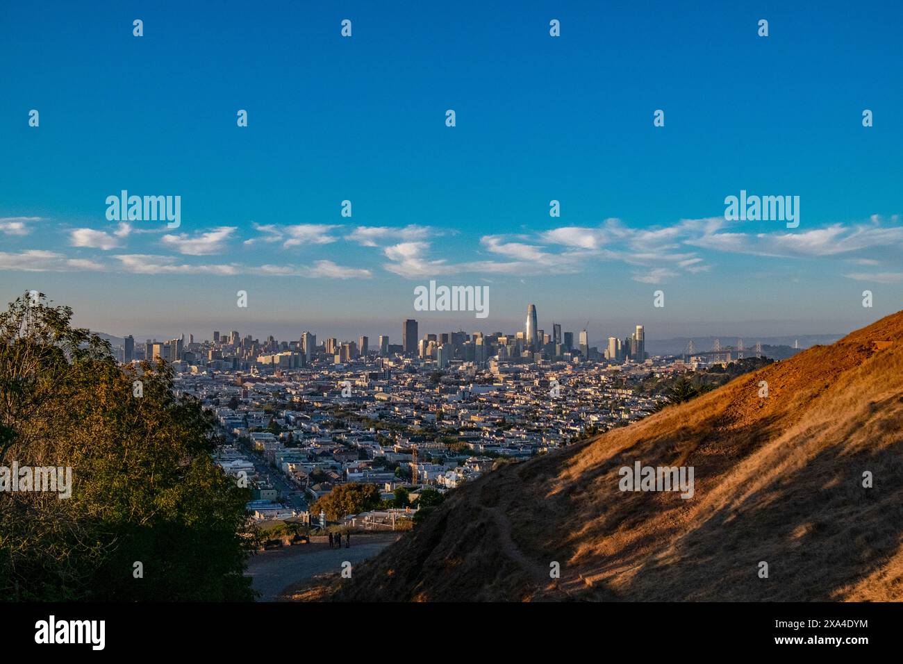 L'image montre une vue panoramique d'une ville avec de nombreux bâtiments sous un ciel bleu clair, prise d'un point de vue élevé avec une colline au premier plan. Banque D'Images