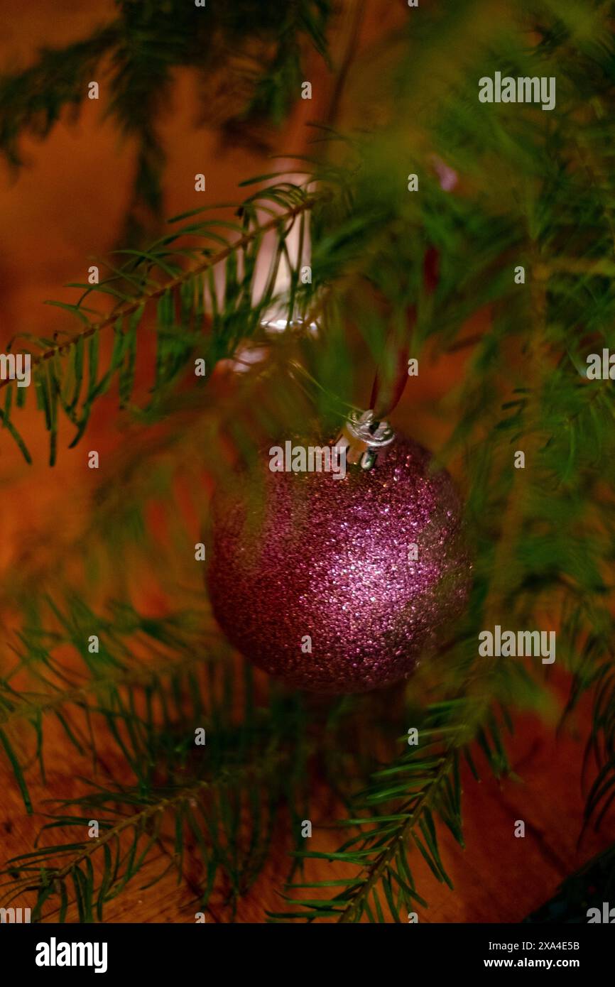 Un ornement de Noël rose étincelant est suspendu au milieu des branches vertes d'un arbre festif. Banque D'Images