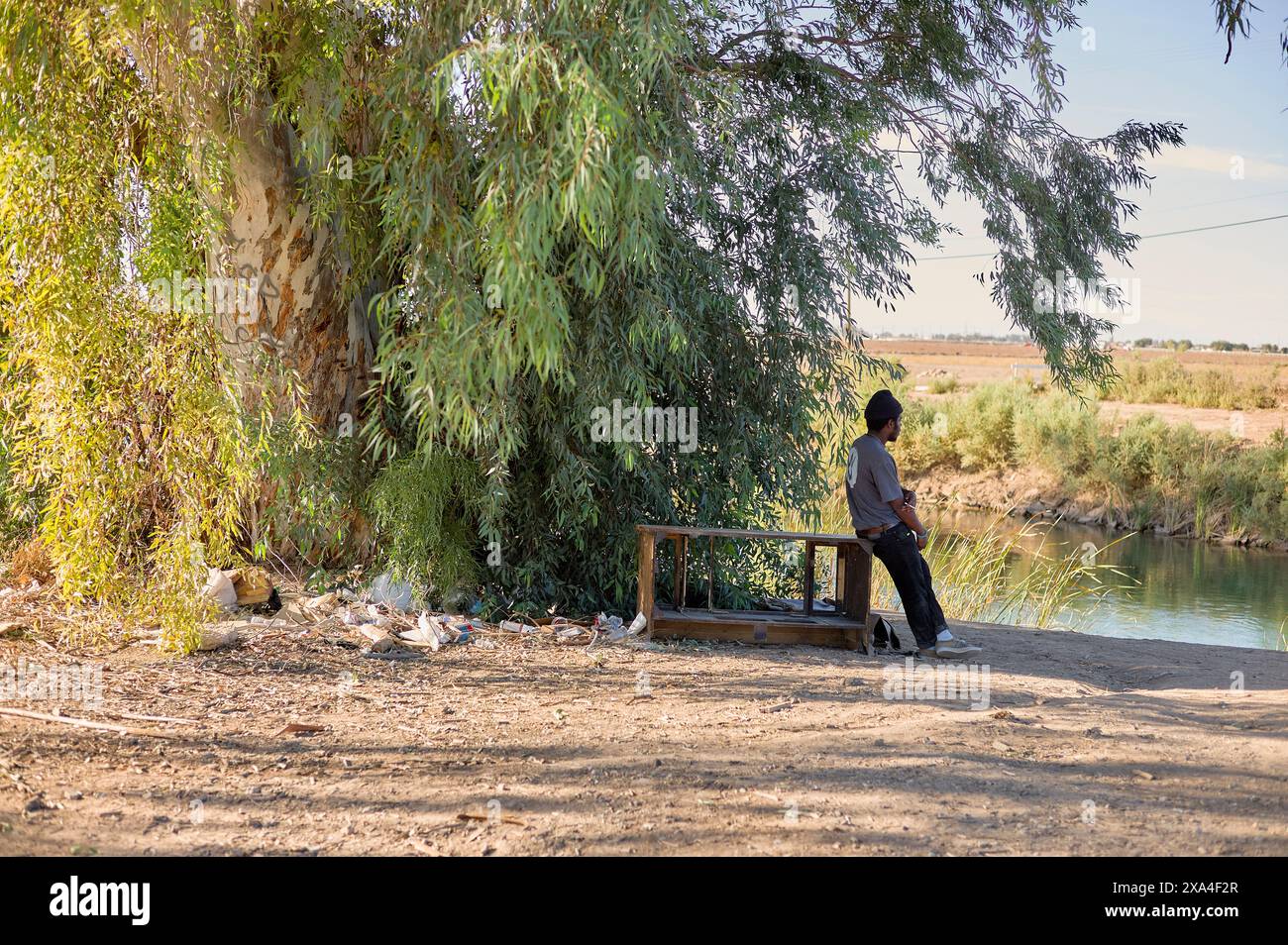 Une personne est assise sur un banc à l'ombre d'un arbre près d'une rivière calme, entourée d'un cadre naturel paisible avec des litières dispersées sur le sol. Banque D'Images
