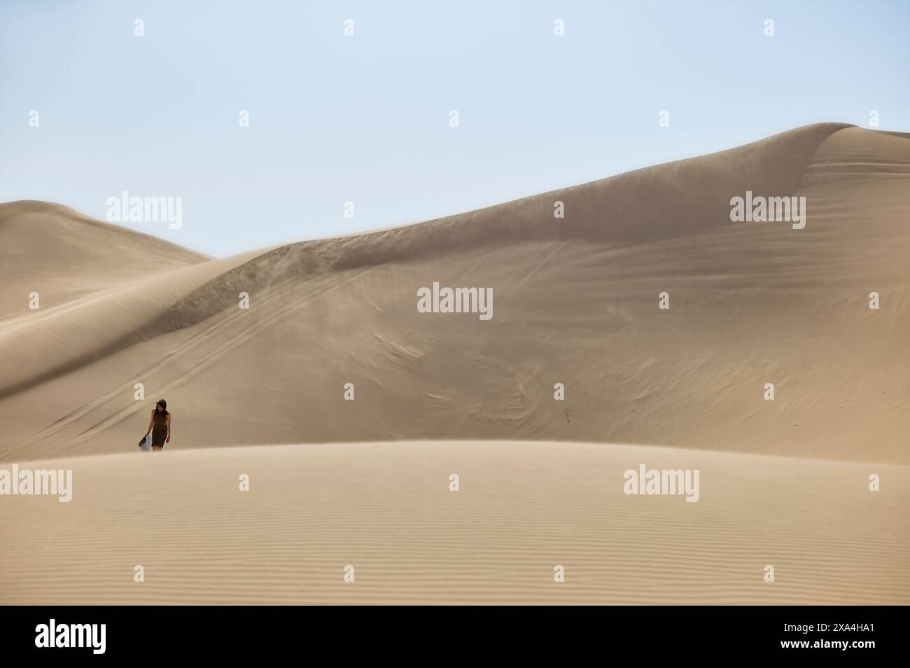 Une personne se tient au milieu de vastes dunes de sable sous un ciel clair, avec les lignes lisses et fluides des dunes créant un paysage désertique serein. Banque D'Images