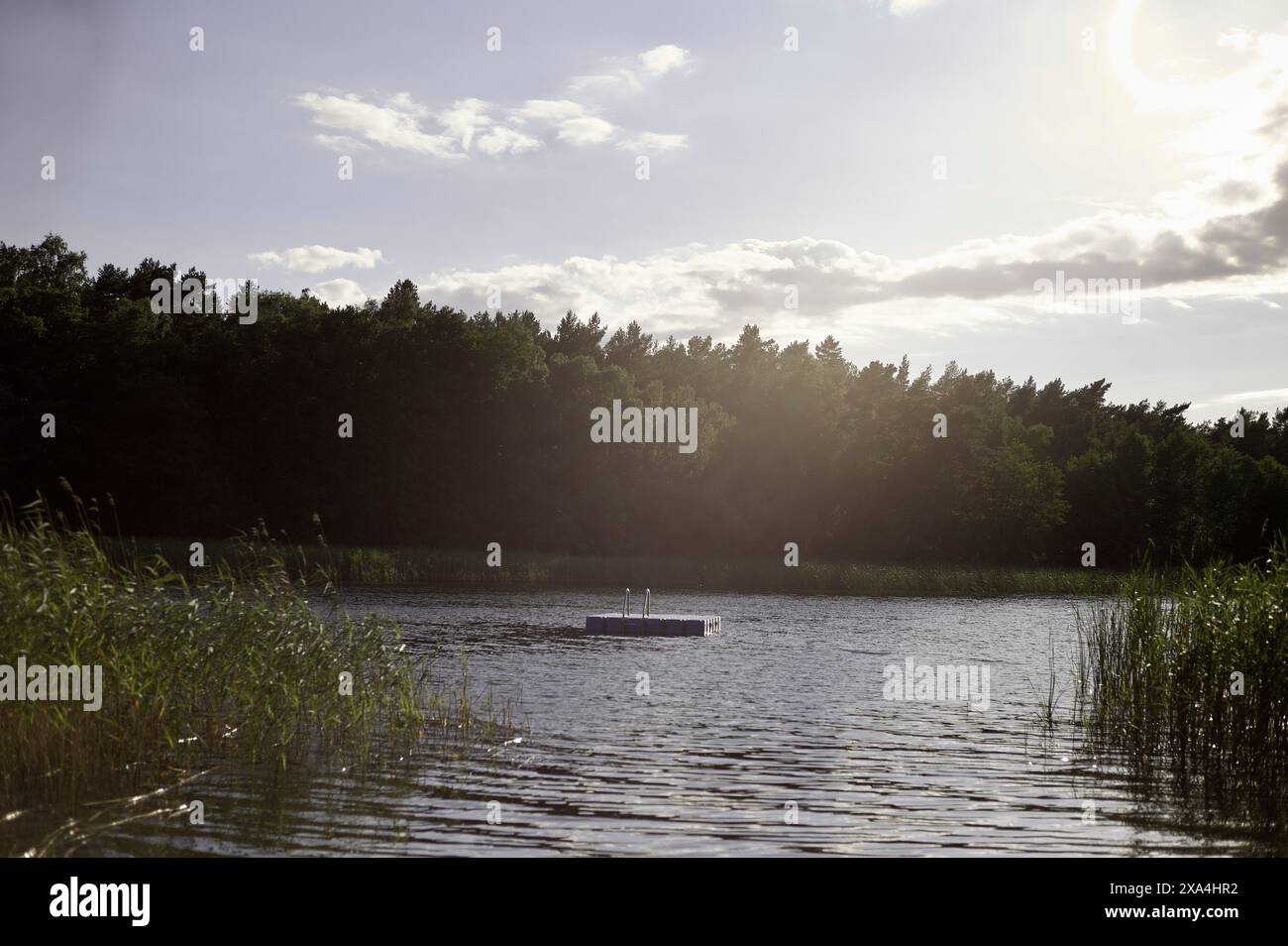 Une scène de lac tranquille avec un petit radeau dans le centre, entouré d'une végétation luxuriante et baigné dans la douce lueur du soleil couchant. Banque D'Images