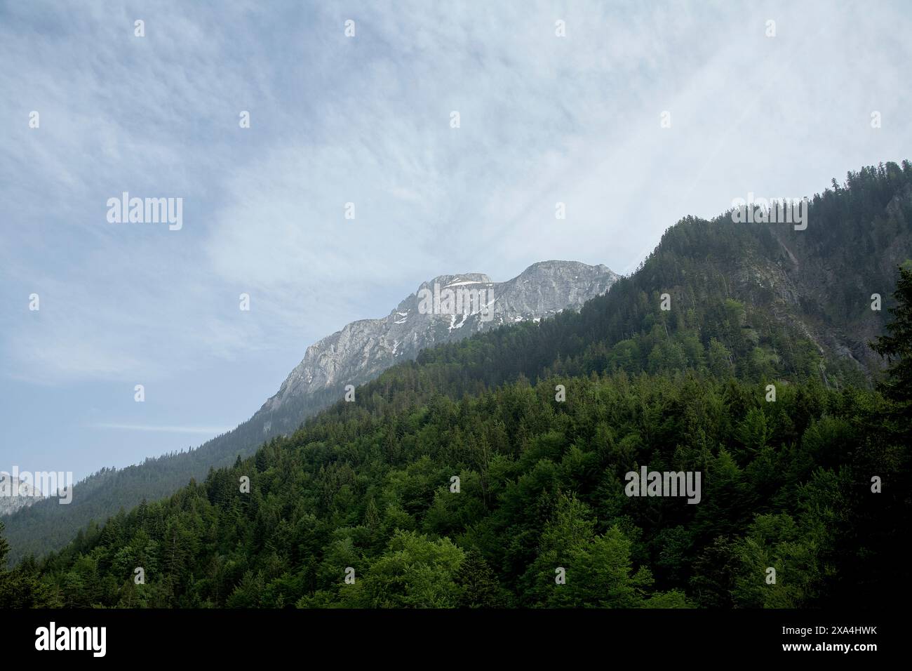 Une vue pittoresque d'un sommet de montagne s'élevant au-dessus d'une forêt verdoyante sous un ciel strié de nuages sinueux. Banque D'Images