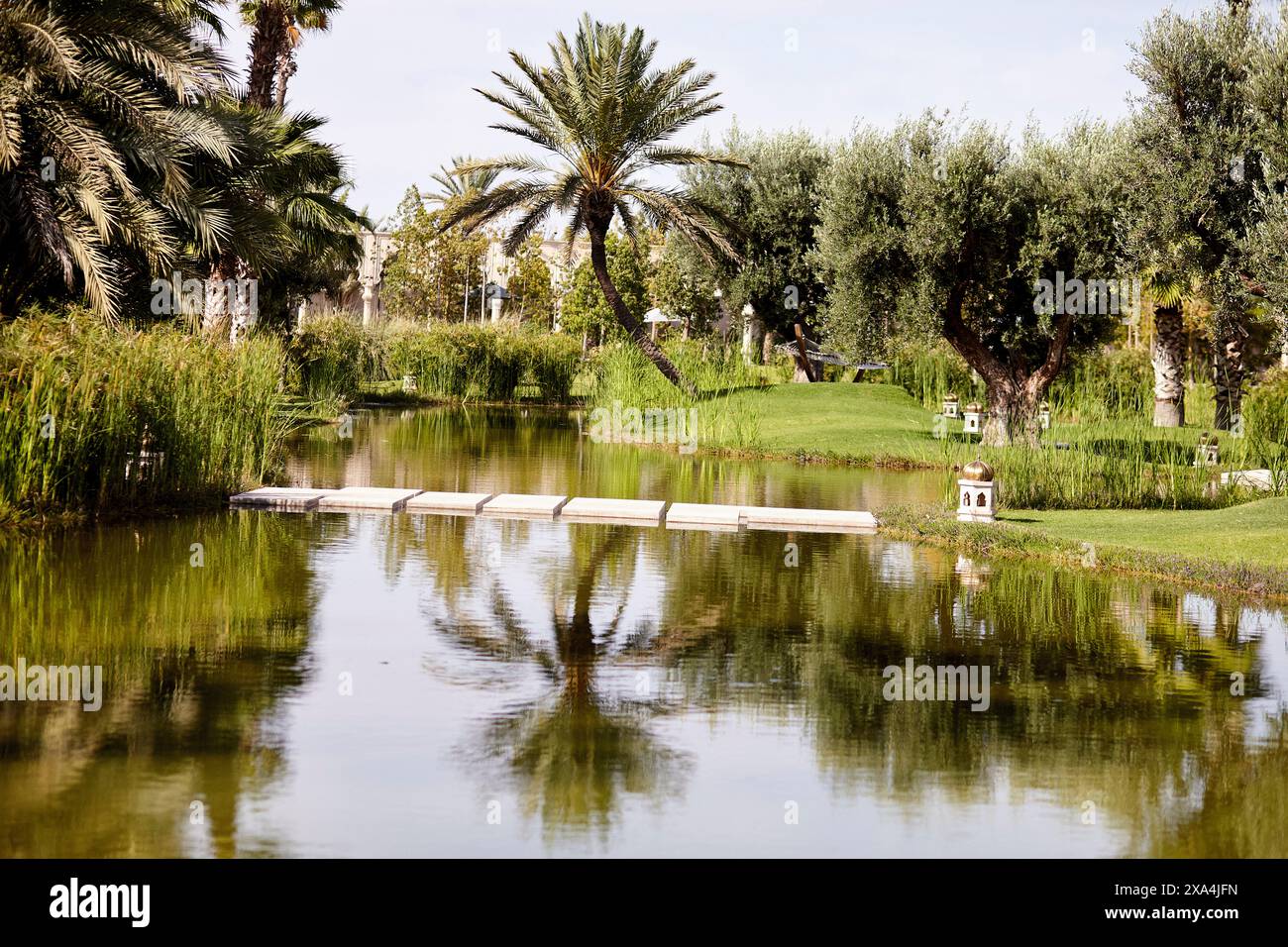 Un étang serein avec un petit pont en bois, entouré de verdure luxuriante et de palmiers, reflète le paysage sur sa surface d'eau calme. Banque D'Images