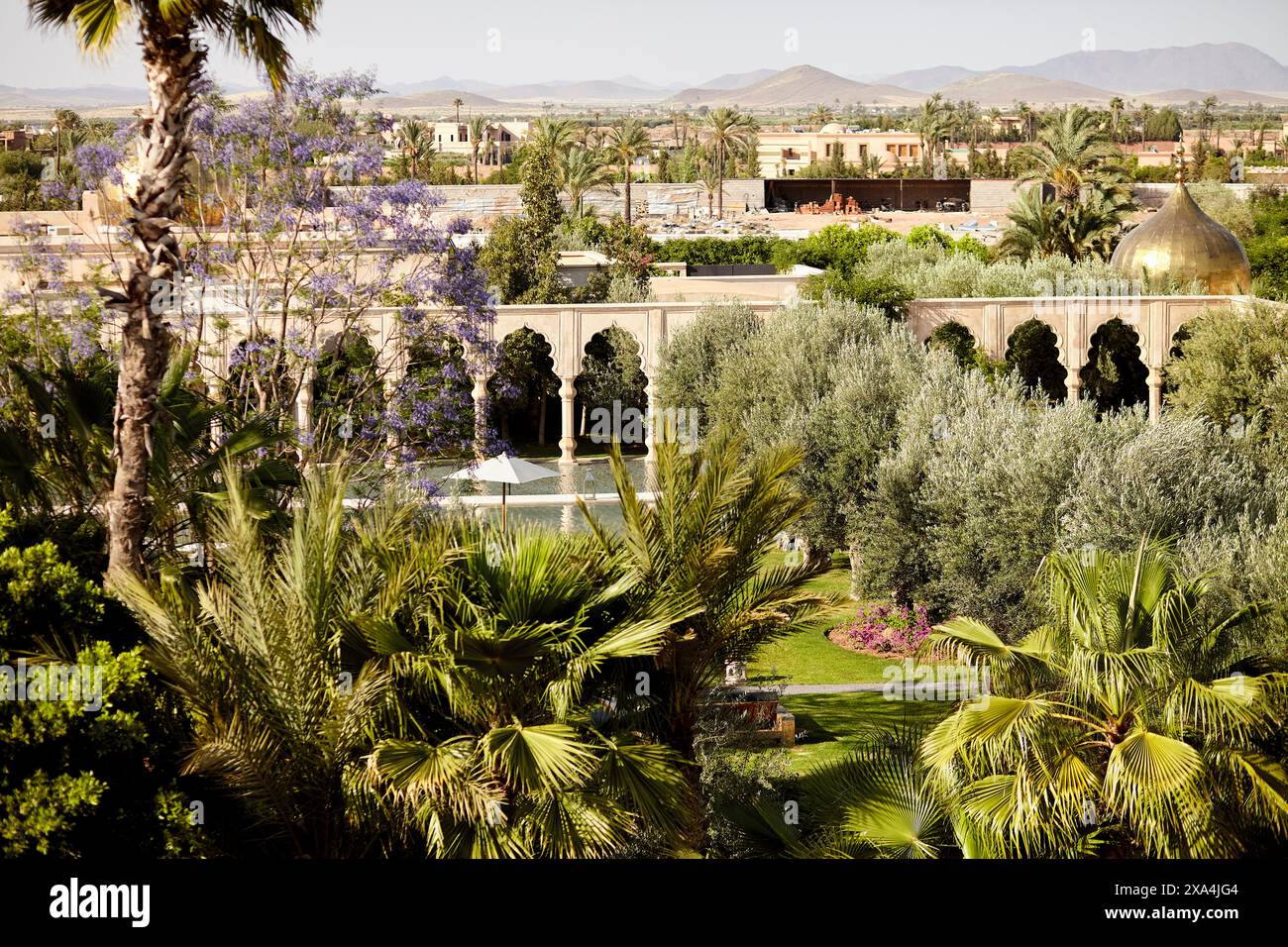 Une oasis de verdure luxuriante avec divers arbres et plantes, avec des bâtiments en arrière-plan sous un ciel clair. Banque D'Images