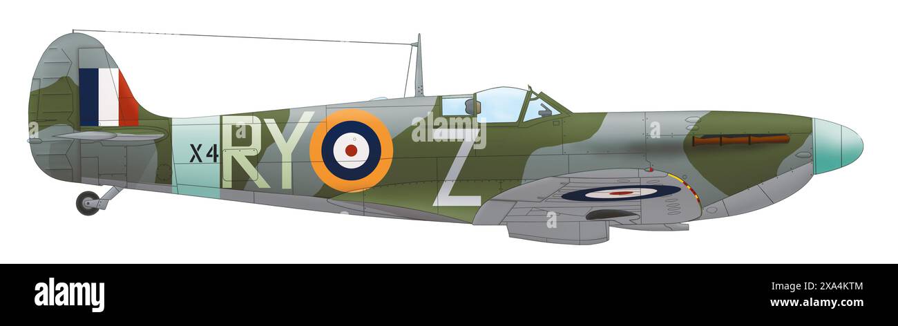 Supermarine Spitfire Mk II (X4776, RY-Z) du No. 313 Squadron RAF, octobre 1941 Banque D'Images