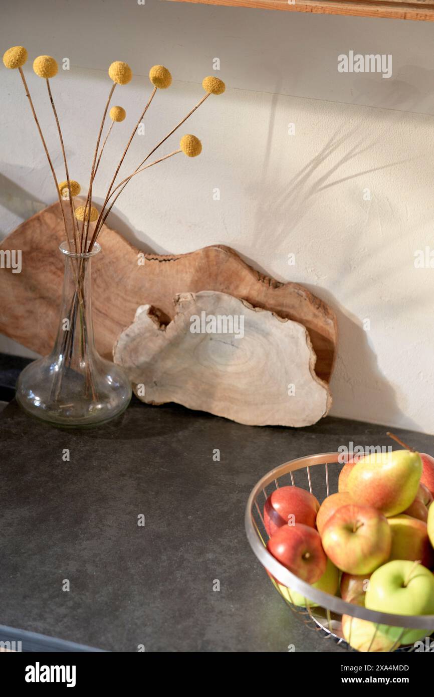 Un comptoir de cuisine moderne avec un vase en verre avec des fleurs sphériques séchées, une planche de service en bois rustique et un bol en fil de fer rempli de pommes rouges et vertes. Banque D'Images Un comptoir de cuisine moderne avec un vase en verre avec des fleurs sphériques séchées, une planche de service en bois rustique et un bol en fil de fer rempli de pommes rouges et vertes. Banque D'Images