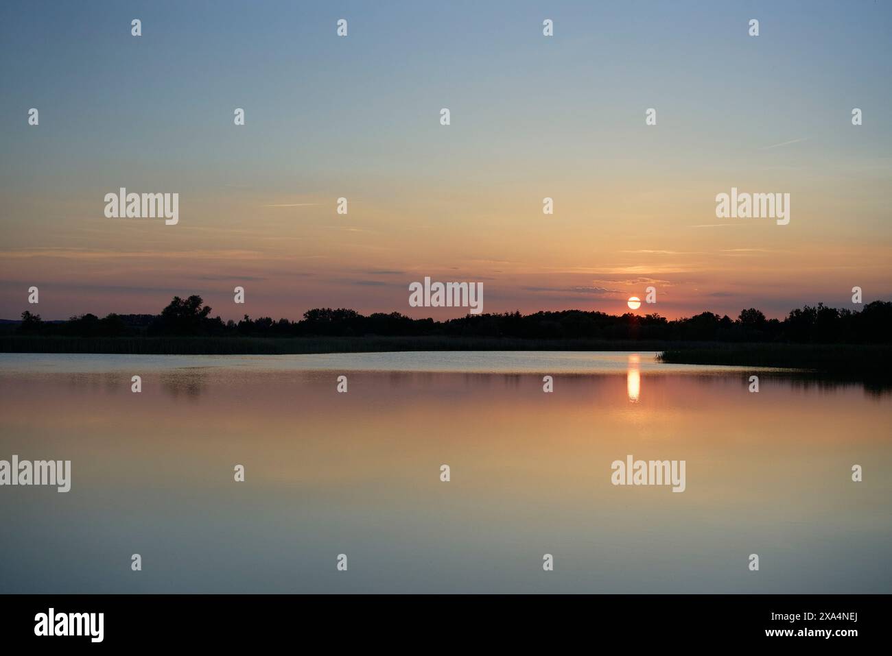 Un coucher de soleil serein sur un lac calme avec le reflet du soleil visible sur la surface de l'eau, flanqué d'un ciel clair et de silhouettes d'arbres lointains. Banque D'Images