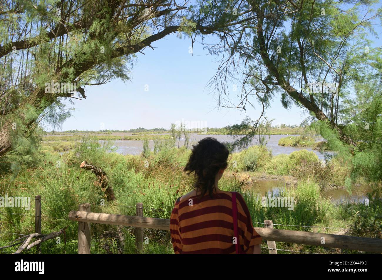 Une personne se tient debout à une clôture en bois regardant une rivière tranquille entourée d'une verdure luxuriante sous un ciel bleu clair. Banque D'Images