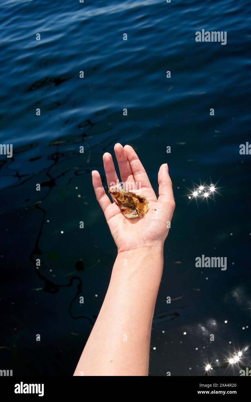 Une main tendue tient un petit crabe au-dessus d'un plan d'eau chatoyant, avec la lumière du soleil qui se reflète sur la surface de l'eau. Banque D'Images