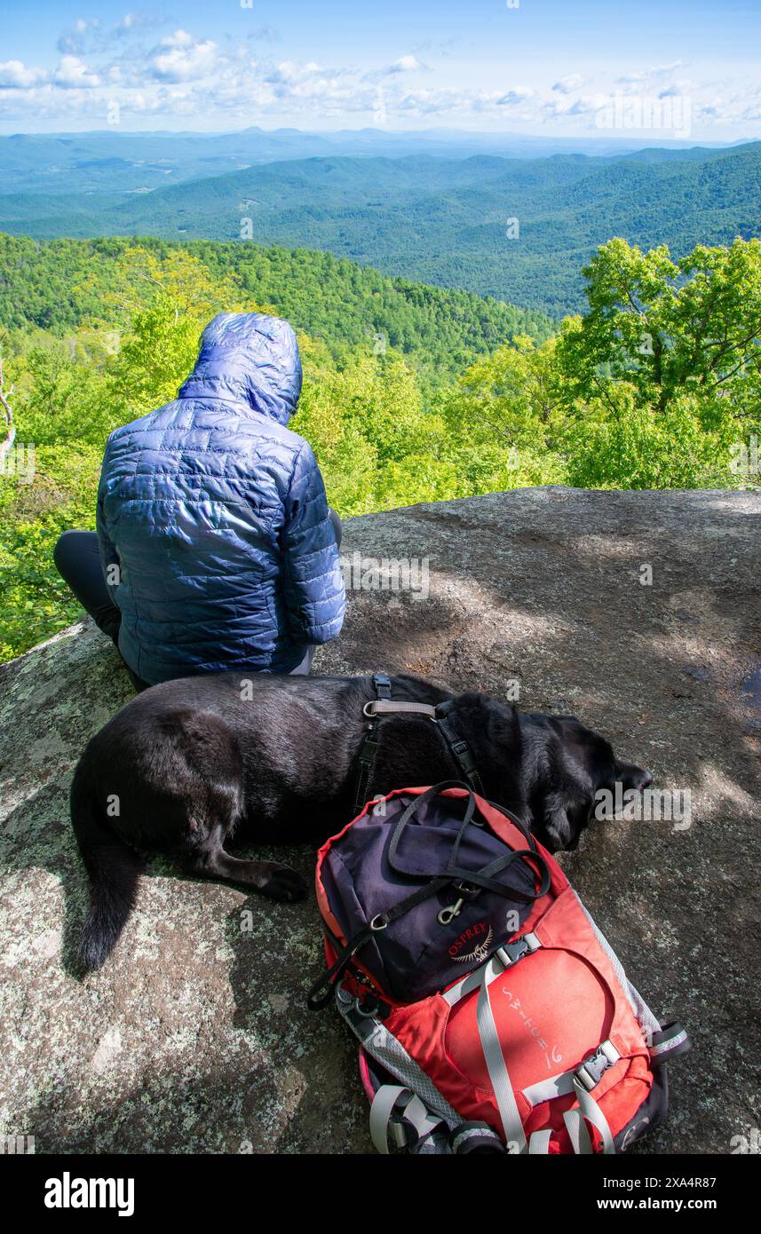 Femme célibataire et son chien assis au sommet de Harkening Hill (3 372') surplombant la ville de Bedford, Virginie le long de la Blue Ridge Parkway. Banque D'Images