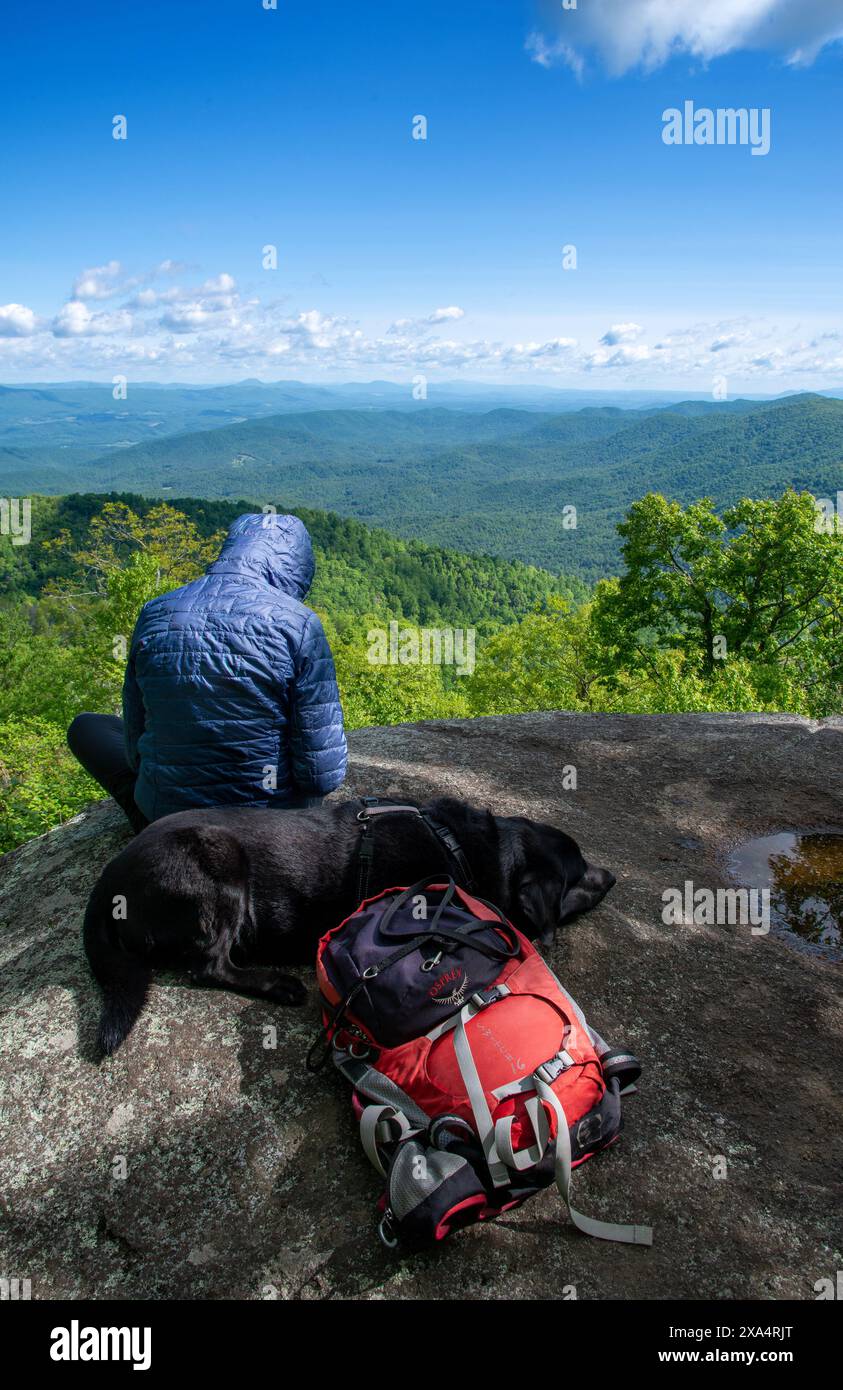 Femme célibataire et son chien assis au sommet de Harkening Hill (3 372') surplombant la ville de Bedford, Virginie le long de la Blue Ridge Parkway. Banque D'Images