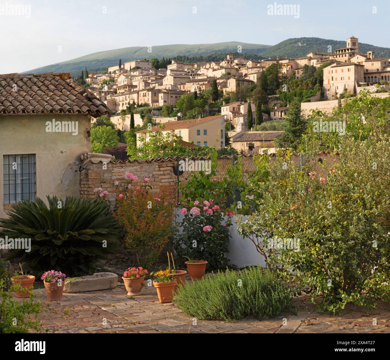 Spello - la vieille ville dans la lumière du soir. Banque D'Images