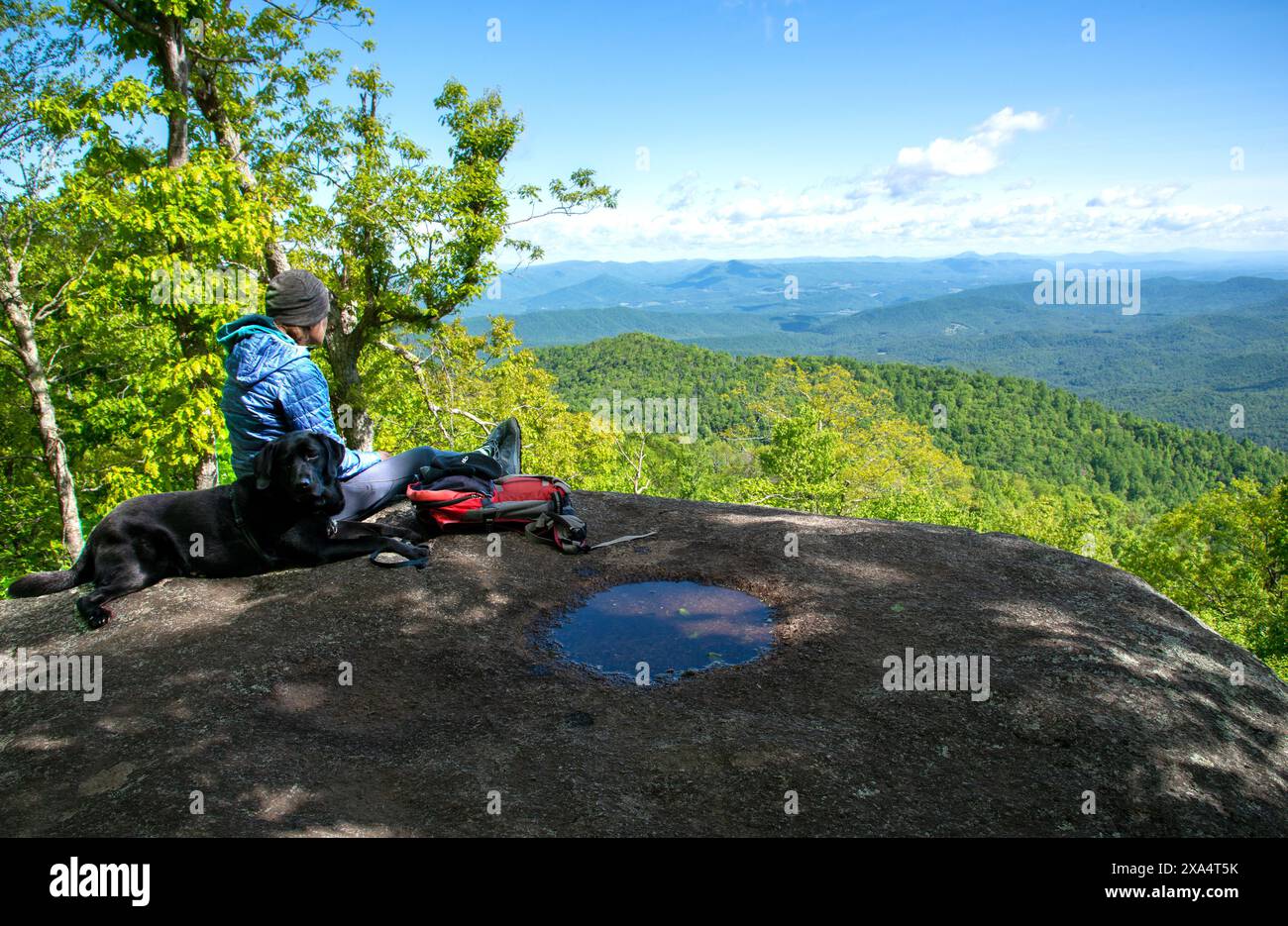 Femme célibataire et son chien assis au sommet de Harkening Hill (3 372') surplombant la ville de Bedford, Virginie le long de la Blue Ridge Parkway. Banque D'Images