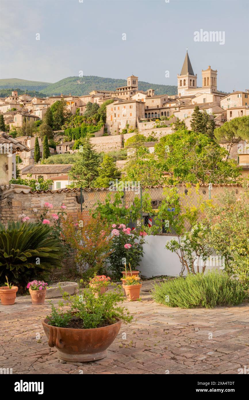 Spello - la vieille ville dans la lumière du soir. Banque D'Images