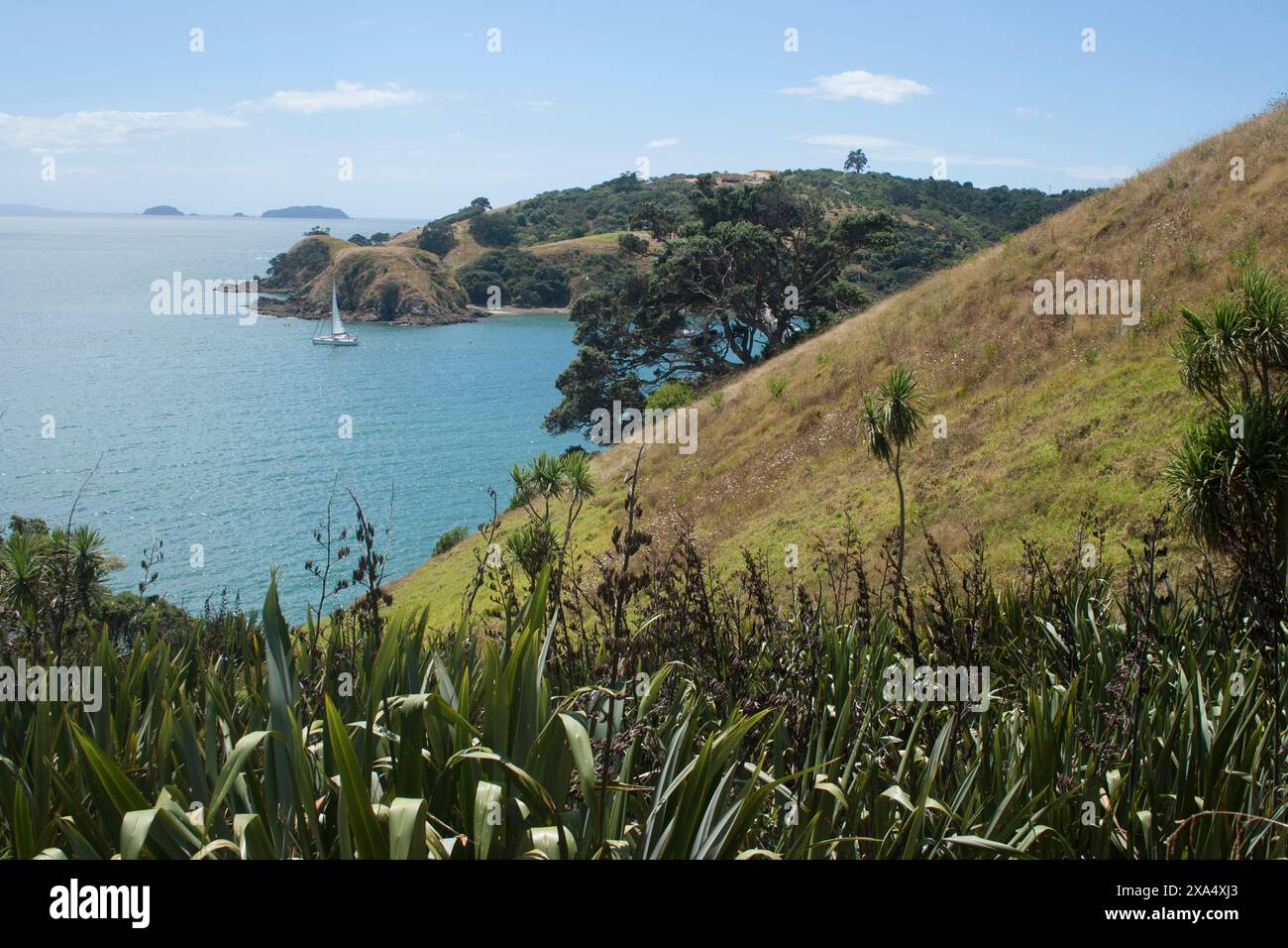 Paysage côtier avec une végétation luxuriante donnant sur une mer bleue sereine avec un voilier blanc et un ciel dégagé. Banque D'Images