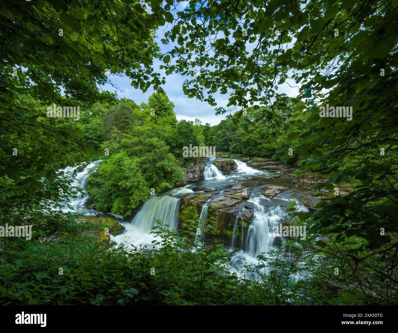 Une cascade sereine traverse une végétation luxuriante, encadrée par des branches surplombantes dans un cadre forestier tranquille. Banque D'Images