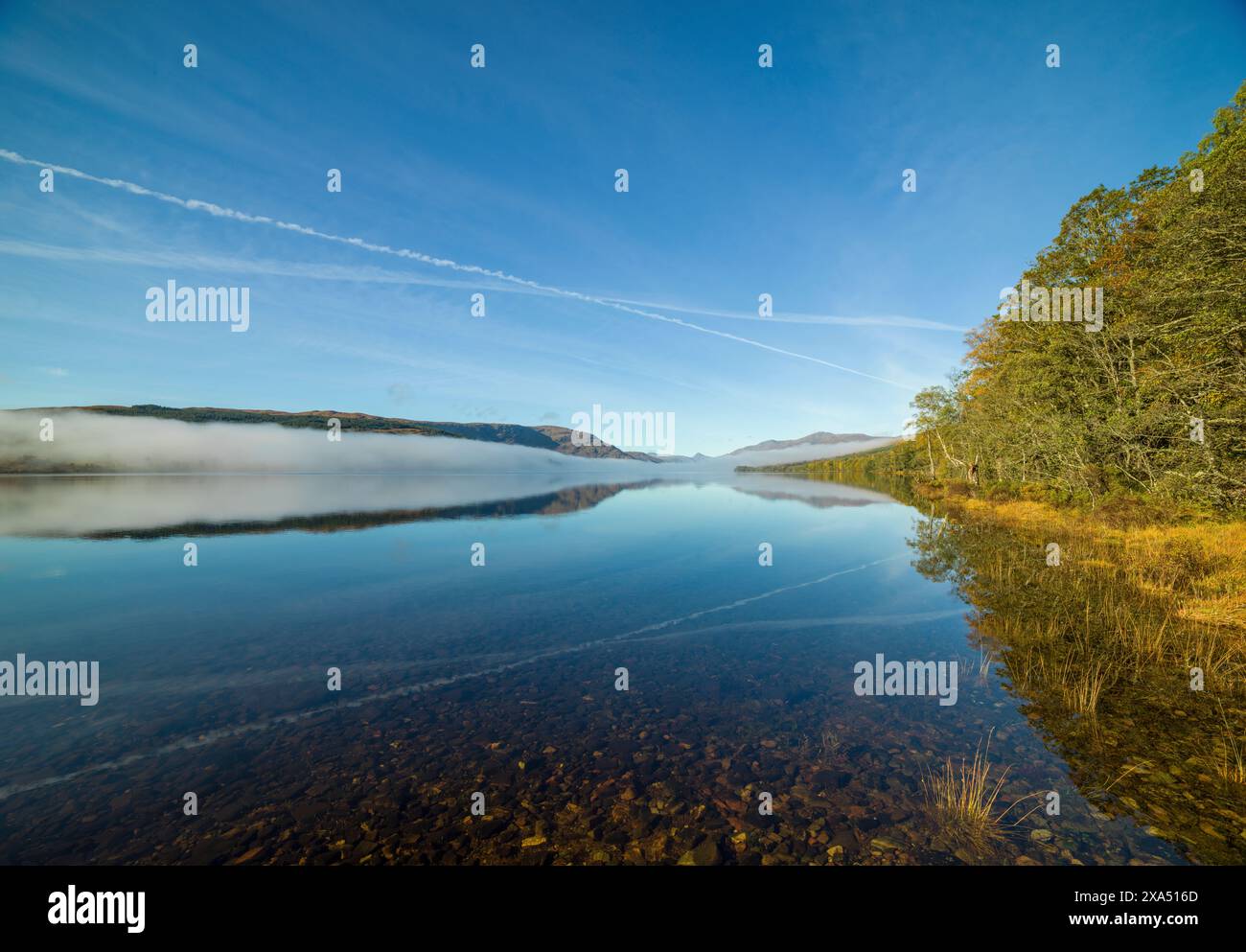 Un lac serein avec un reflet clair sous un ciel bleu, flanqué de forêt et de brouillard bas. Loch Arkaig Banque D'Images