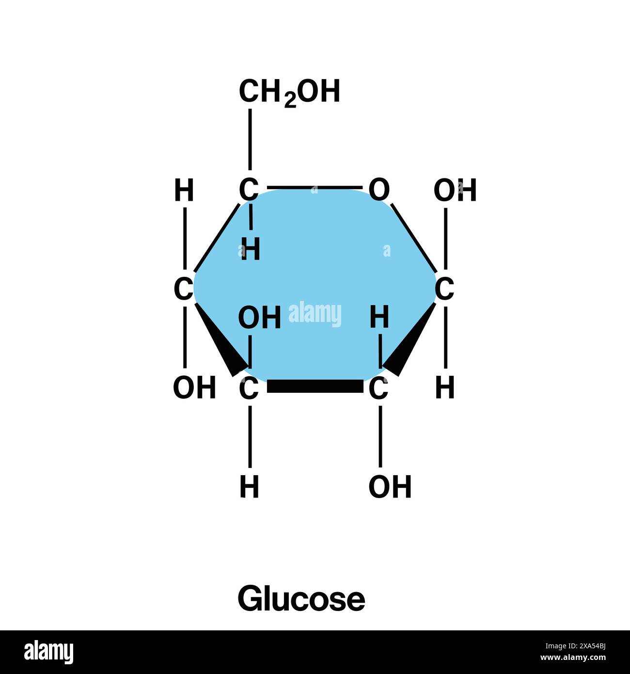 Illustration vectorielle détaillée de la structure chimique du glucose pour la biochimie, la biologie moléculaire et l'éducation en sciences nutritionnelles sur fond blanc. Illustration de Vecteur