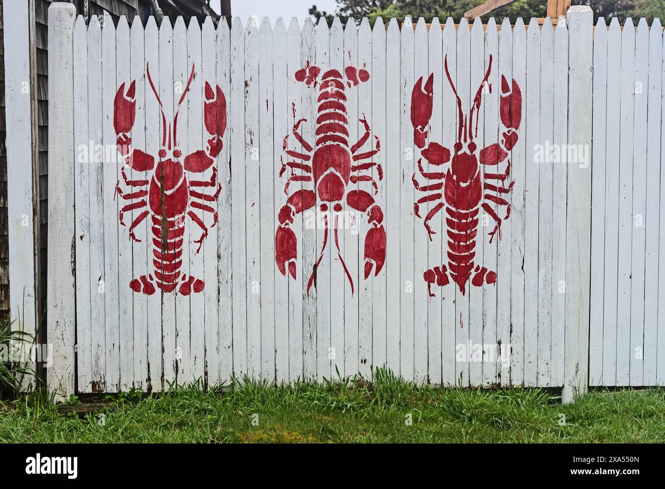 Clôture de homard, Andrea's West Yarmouth Fish and Lobster, Cape Cod , ma, États-Unis Banque D'Images