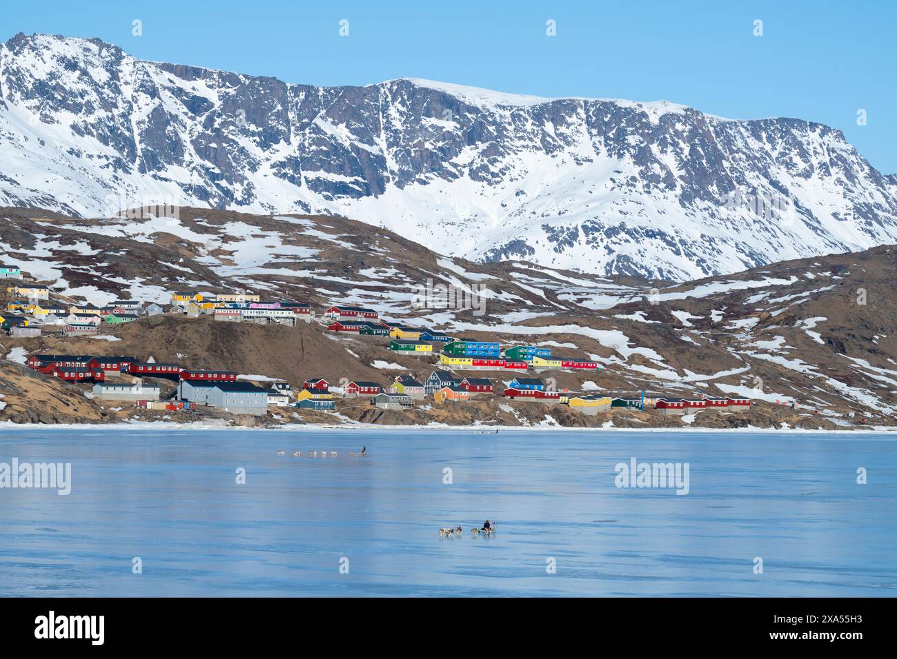Sud-est du Groenland, région d'Ammassalik. Maisons colorées typiques dans la communauté isolée de Tasiilaq. Traîneaux à chiens locaux sur la glace rapide du printemps. Banque D'Images