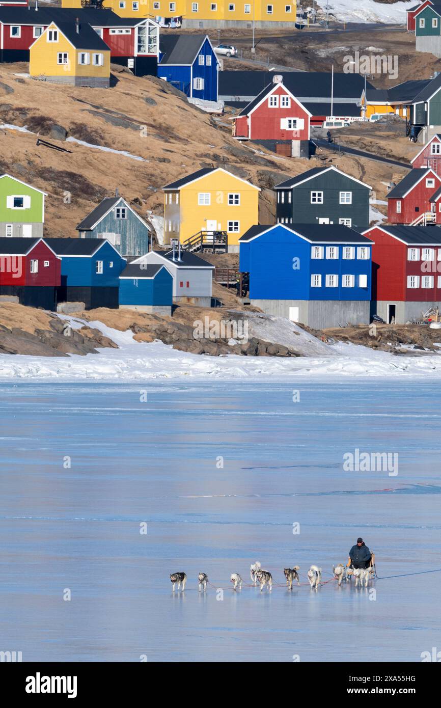 Sud-est du Groenland, région d'Ammassalik. Maisons colorées typiques dans la communauté isolée de Tasiilaq. Traîneaux à chiens locaux sur la glace rapide du printemps. Banque D'Images