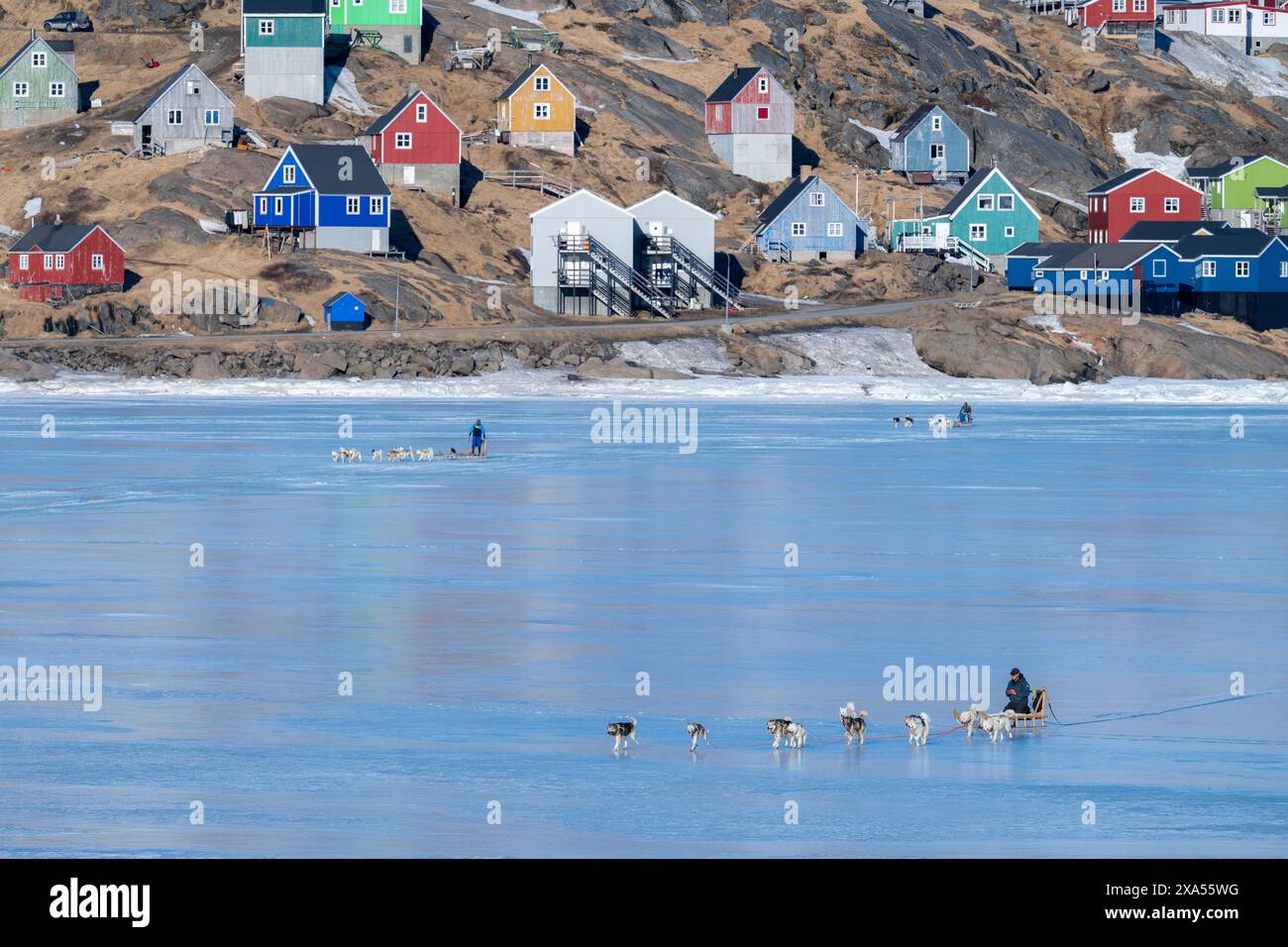 Sud-est du Groenland, région d'Ammassalik. Maisons colorées typiques dans la communauté isolée de Tasiilaq. Traîneaux à chiens locaux sur la glace rapide du printemps. Banque D'Images