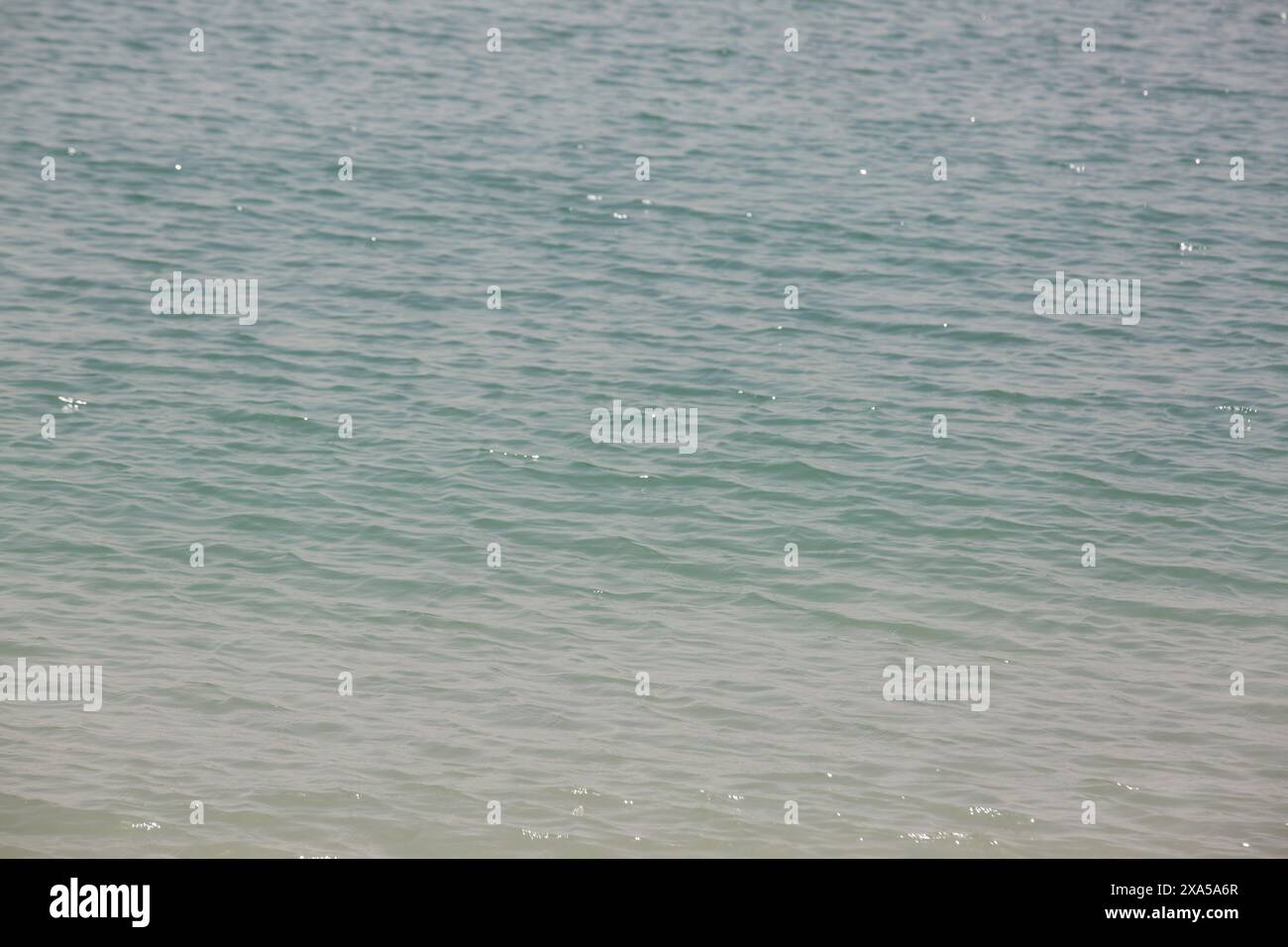 Une vue sereine sur les vagues calmes de l'océan par une journée ensoleillée Banque D'Images