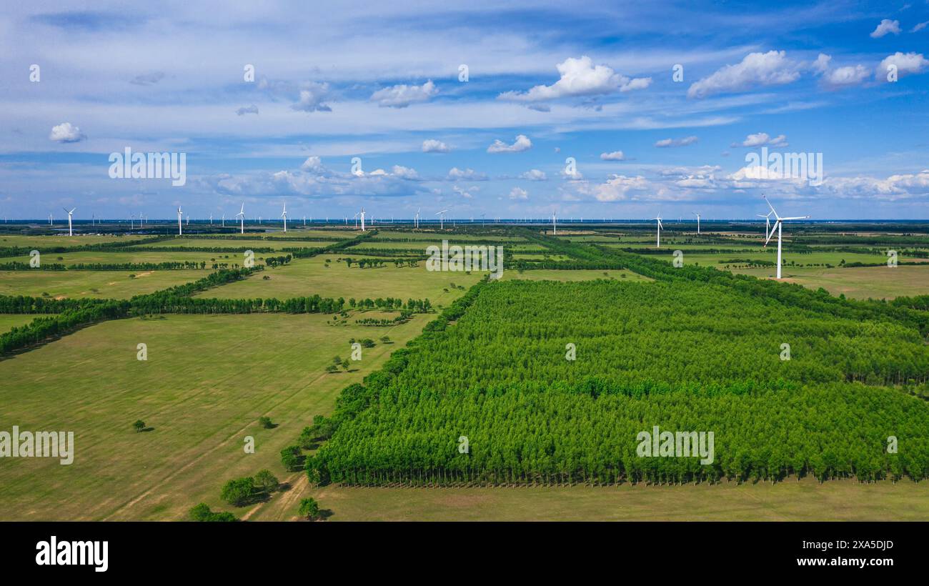 Vue aérienne des moulins à vent avec des arbres au premier plan Banque D'Images