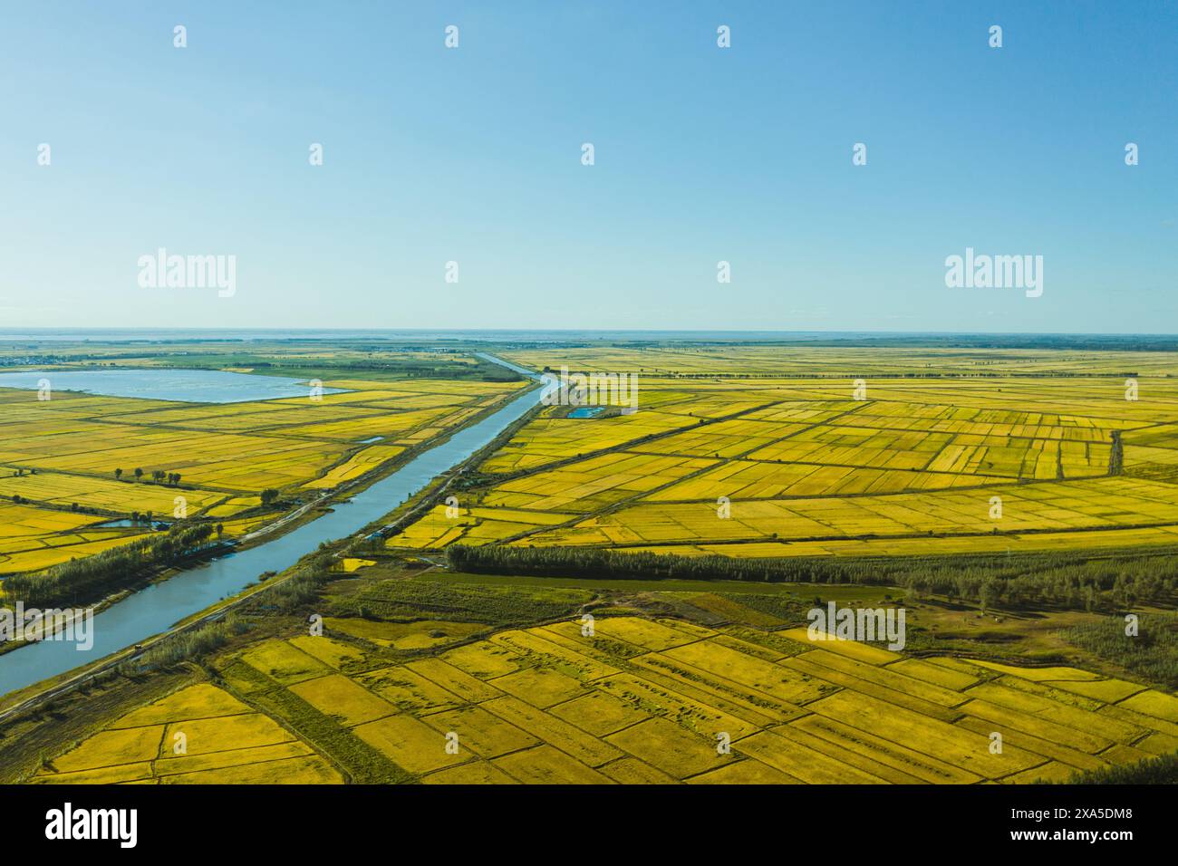 Vue aérienne d'un champ rural et d'un canal dans le nord de l'Ontario Banque D'Images