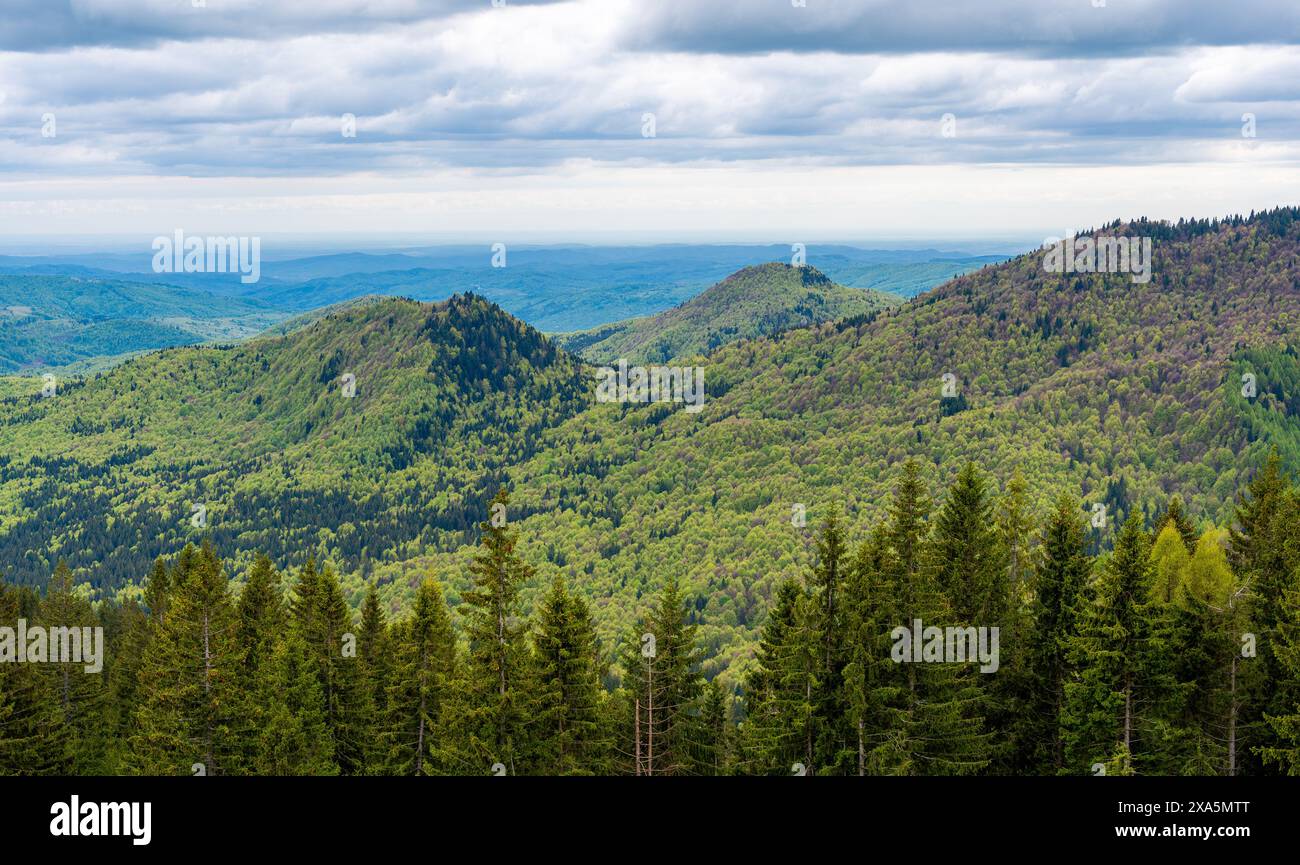 Collines verdoyantes et vallées sous un ciel nuageux Banque D'Images