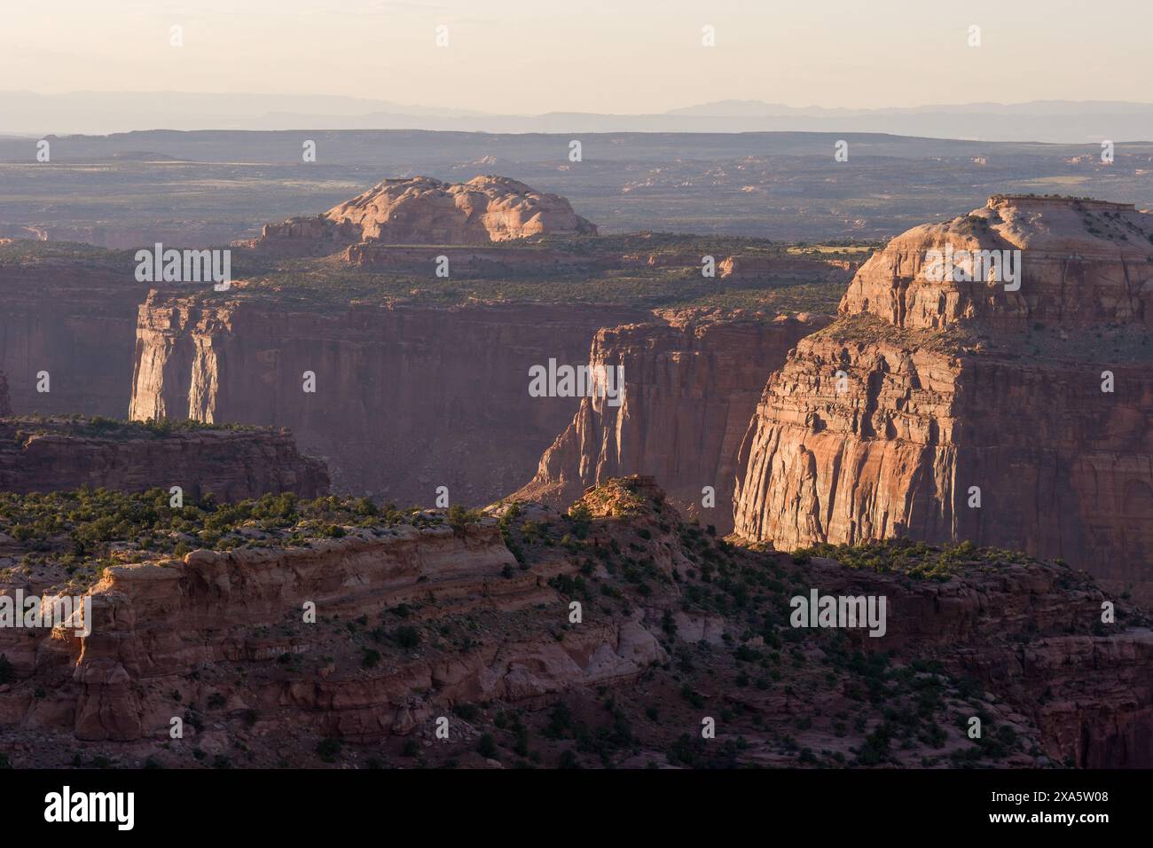 Lumière et ombre sur le haut Taylor Canyon dans l'île dans le Sky District, Canyonlands National Park, Moab, Utah. Banque D'Images