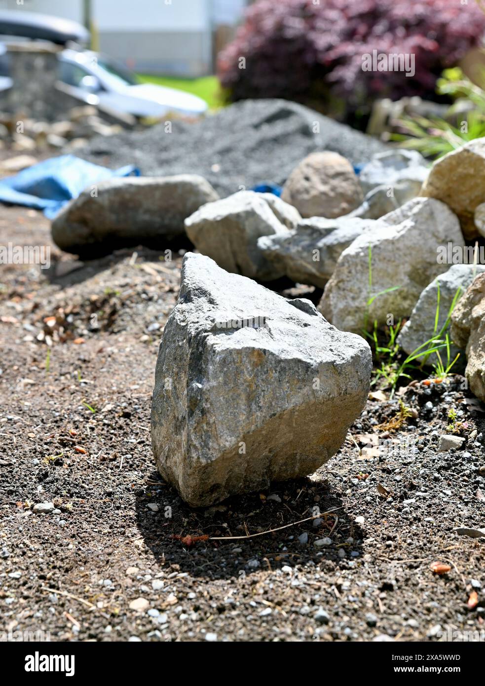 Jardin extérieur projet d'aménagement paysager en cours Banque D'Images