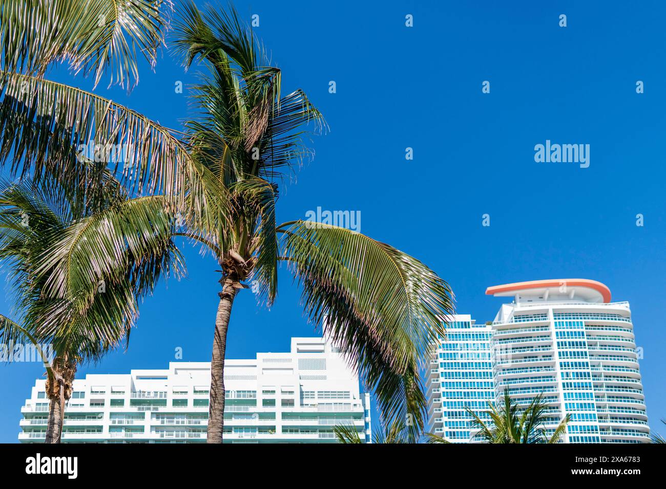 Bâtiment de tour de condo à South Beach Miami Beach Floride Banque D'Images