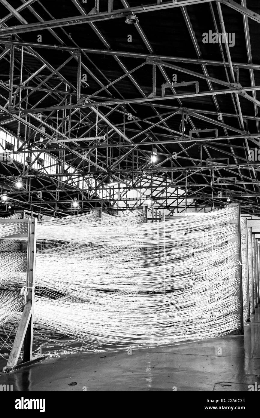 Les lignes de fil de coton sur un métier à tisser de chaîne de montage de trame d'enrouleur de COP à Johannesburg, Afrique du Sud Banque D'Images