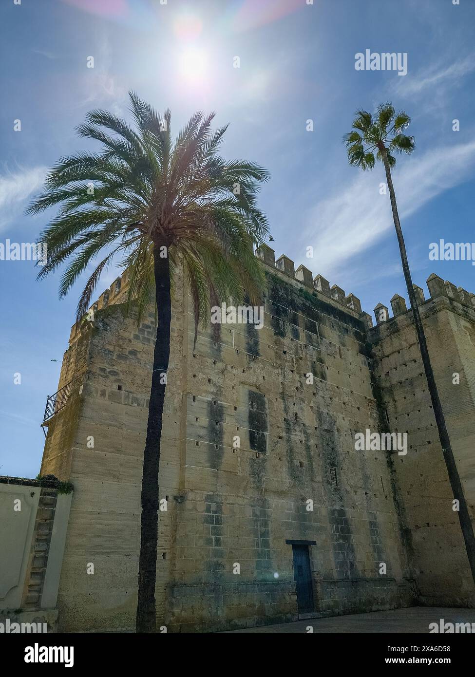 Une ancienne structure en pierre avec un palmier à Alcazar Jerez de la Frontera, Andalousie, Espagne Banque D'Images