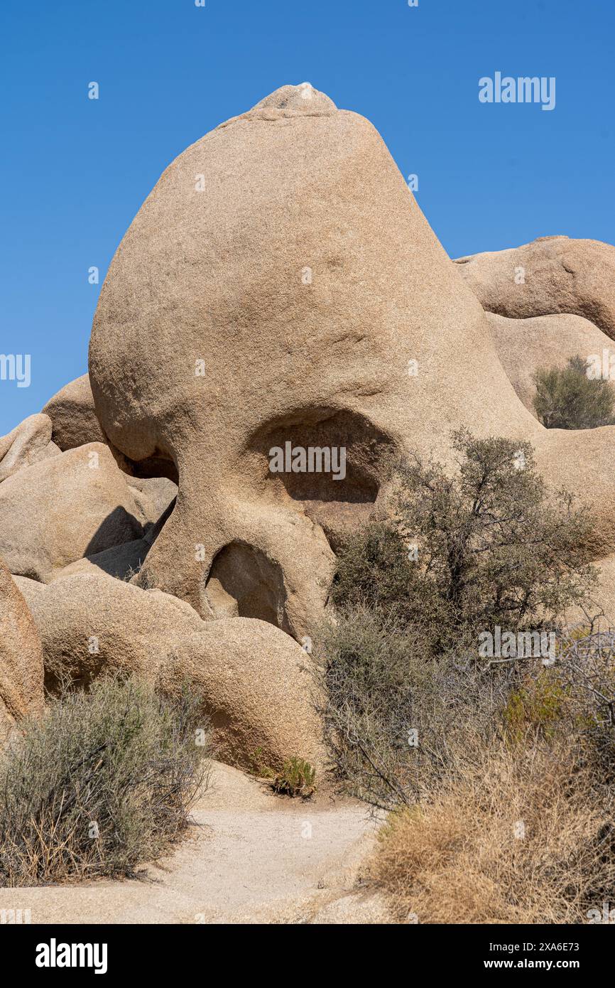 Le parc national de Joshua Tree en Californie, États-Unis Banque D'Images