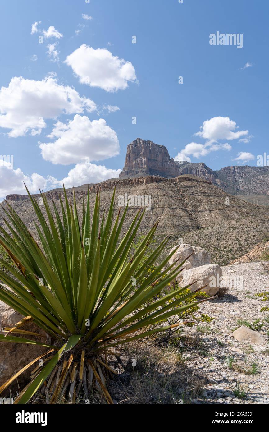 Le parc national de Big Bend au Texas, États-Unis Banque D'Images