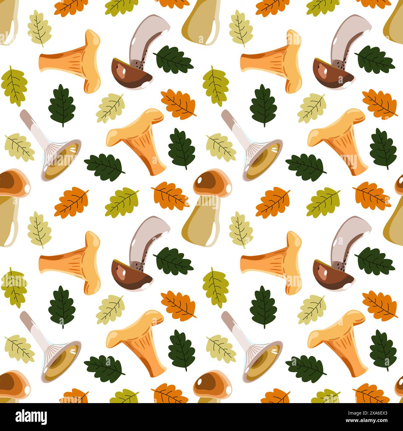 Motif botanique sans couture avec champignons forestiers et feuilles de chêne. Illustration vectorielle Illustration de Vecteur